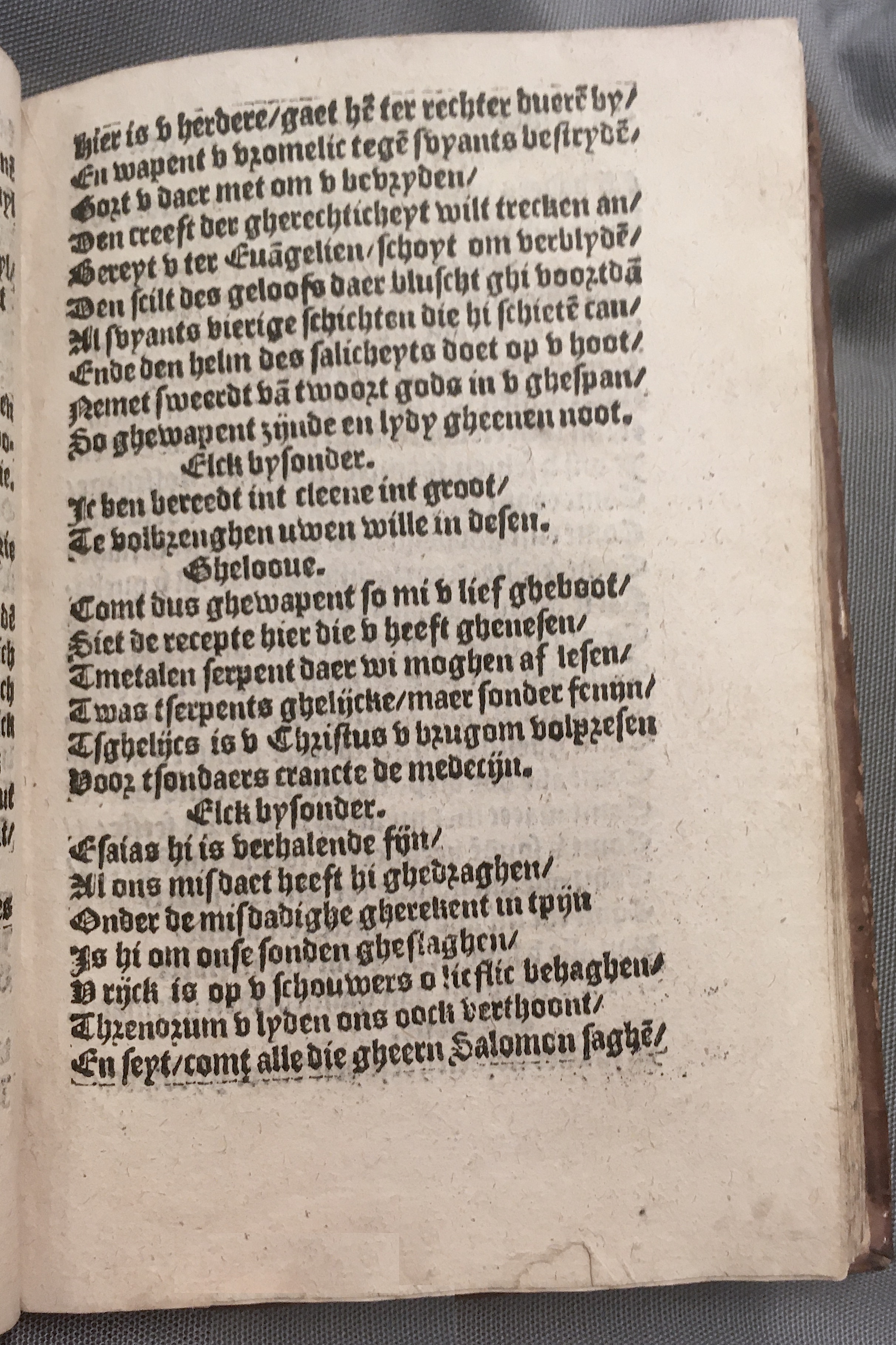 BoomSchriftueren1560ca39