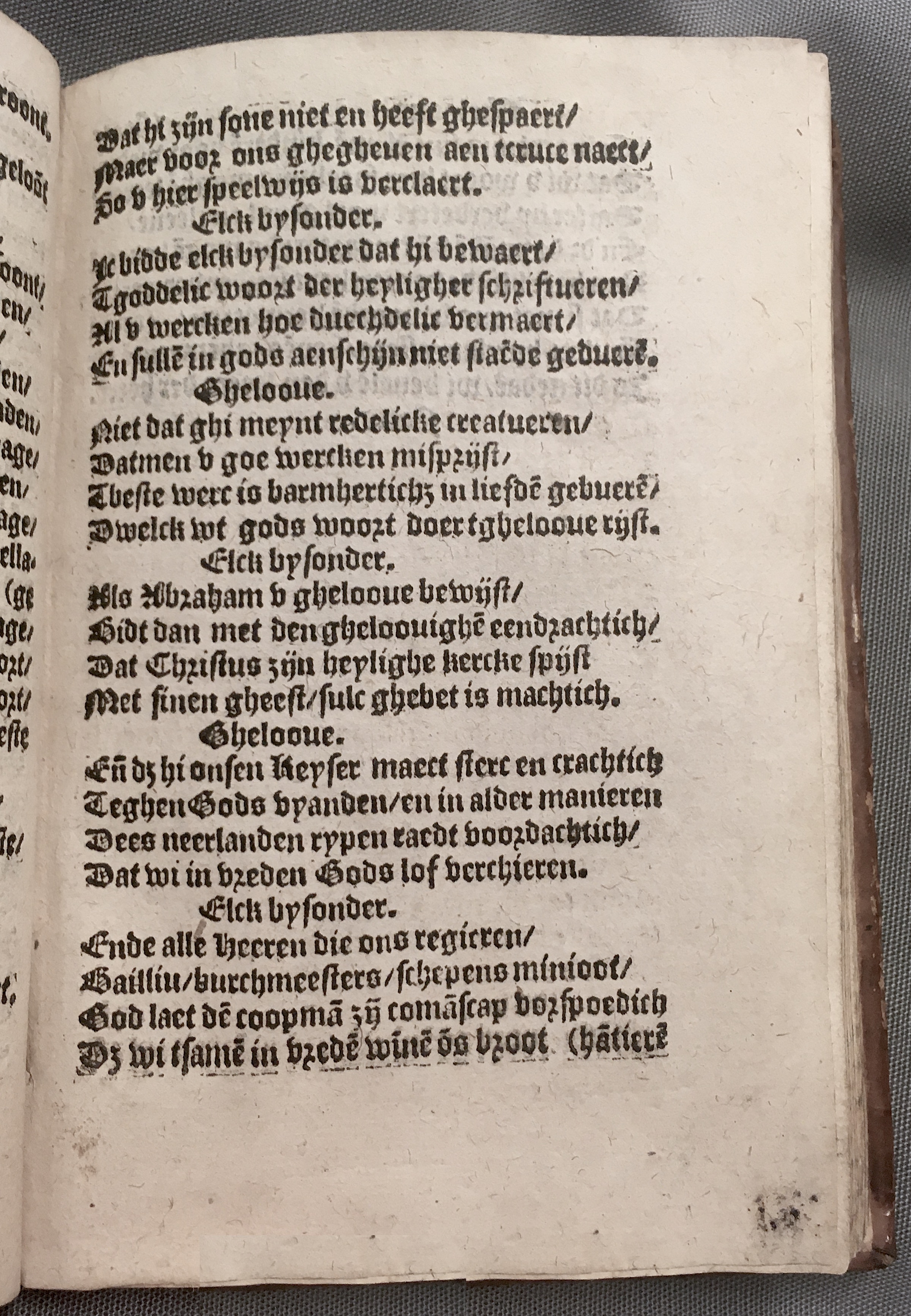 BoomSchriftueren1560ca41