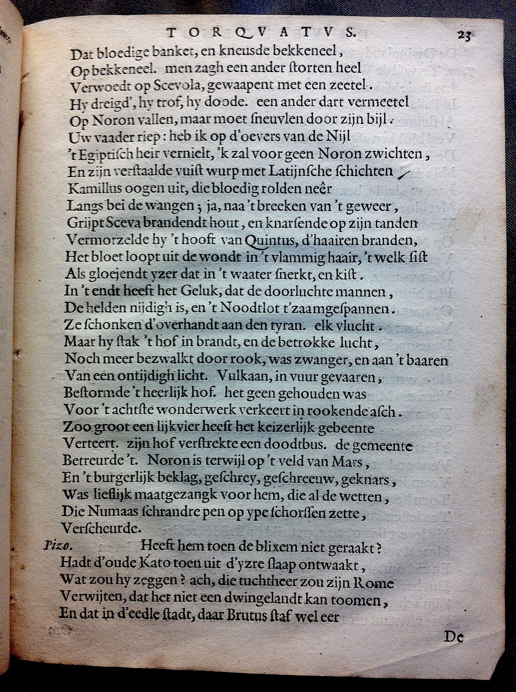 BrandtTorquatus1645p23