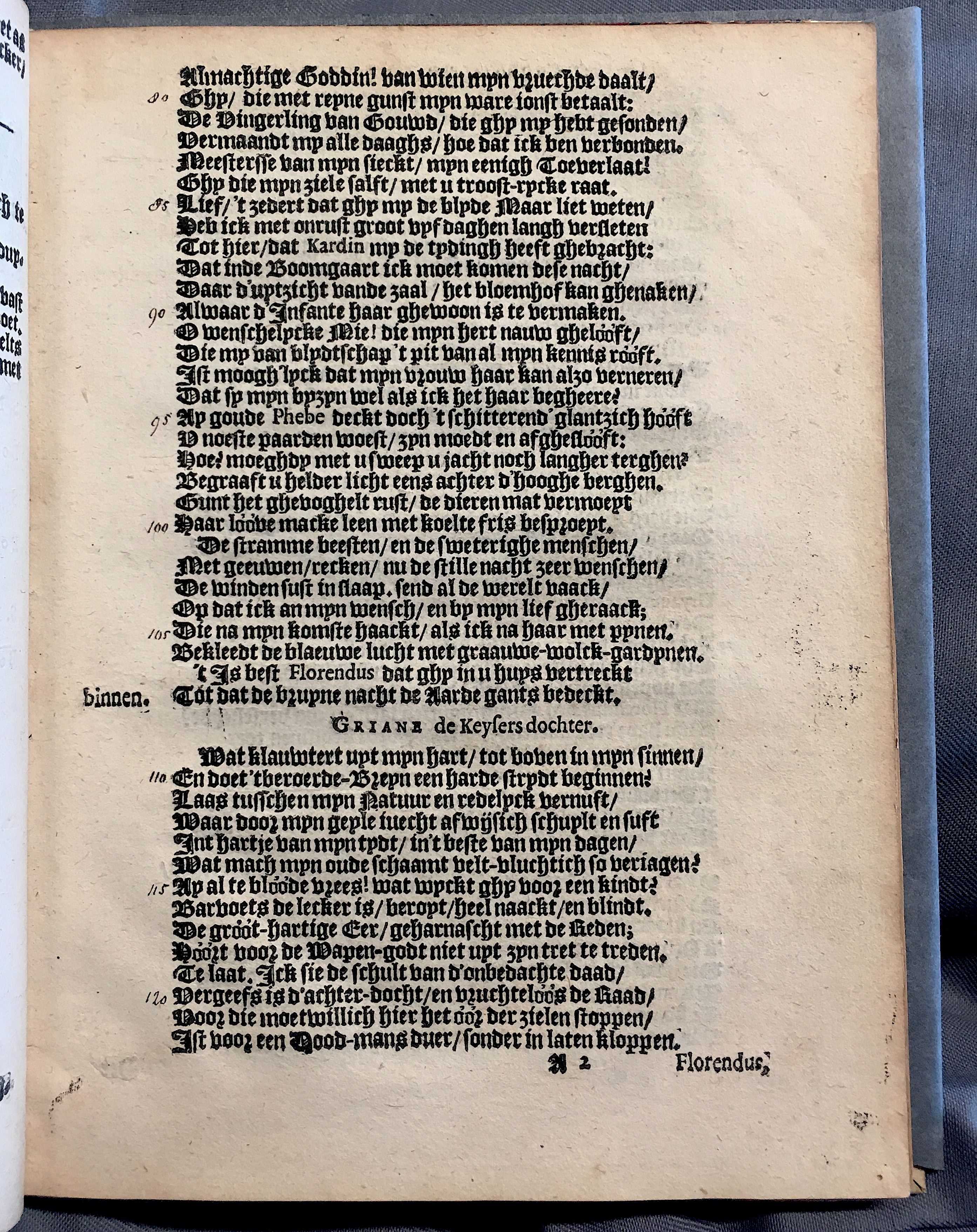 BrederoGriane1616p03