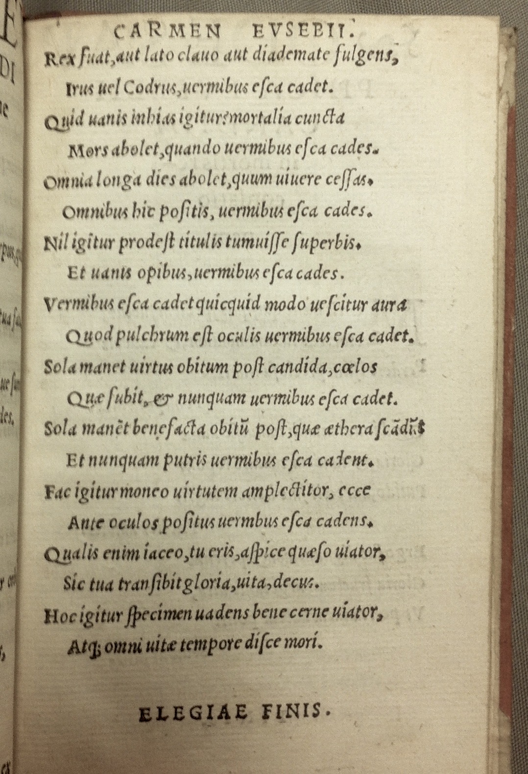 CandidusSusanna153429.jpg