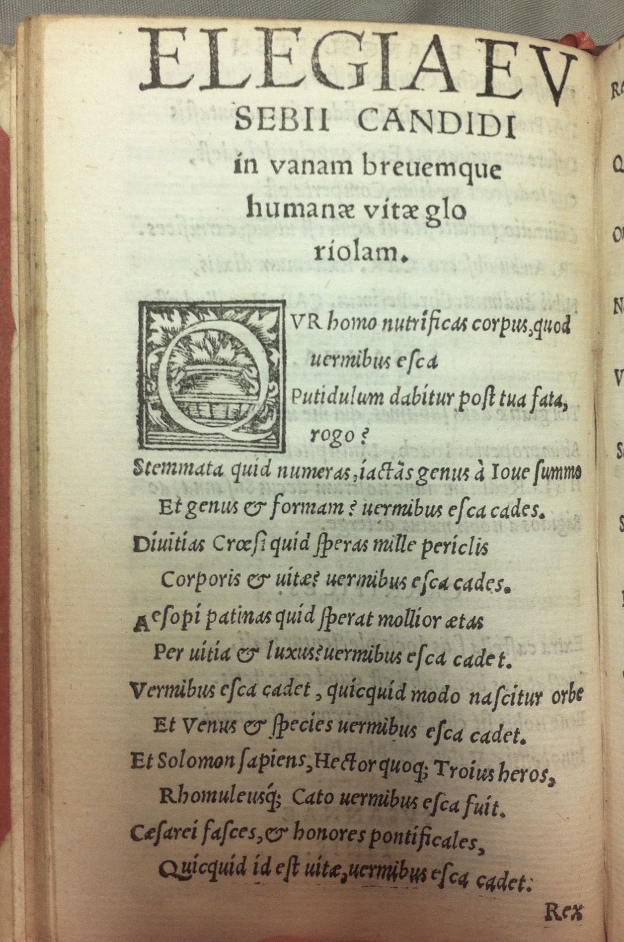 CandidusSusanna153428