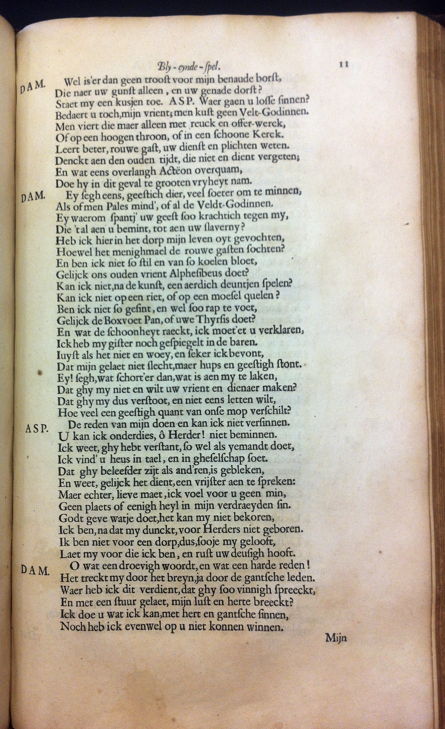 catsaspasia1655_11.jpg