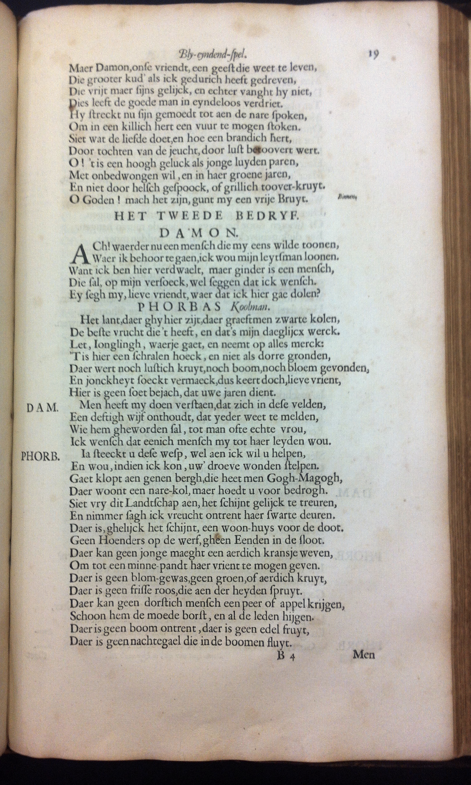 catsaspasia1655_19.jpg