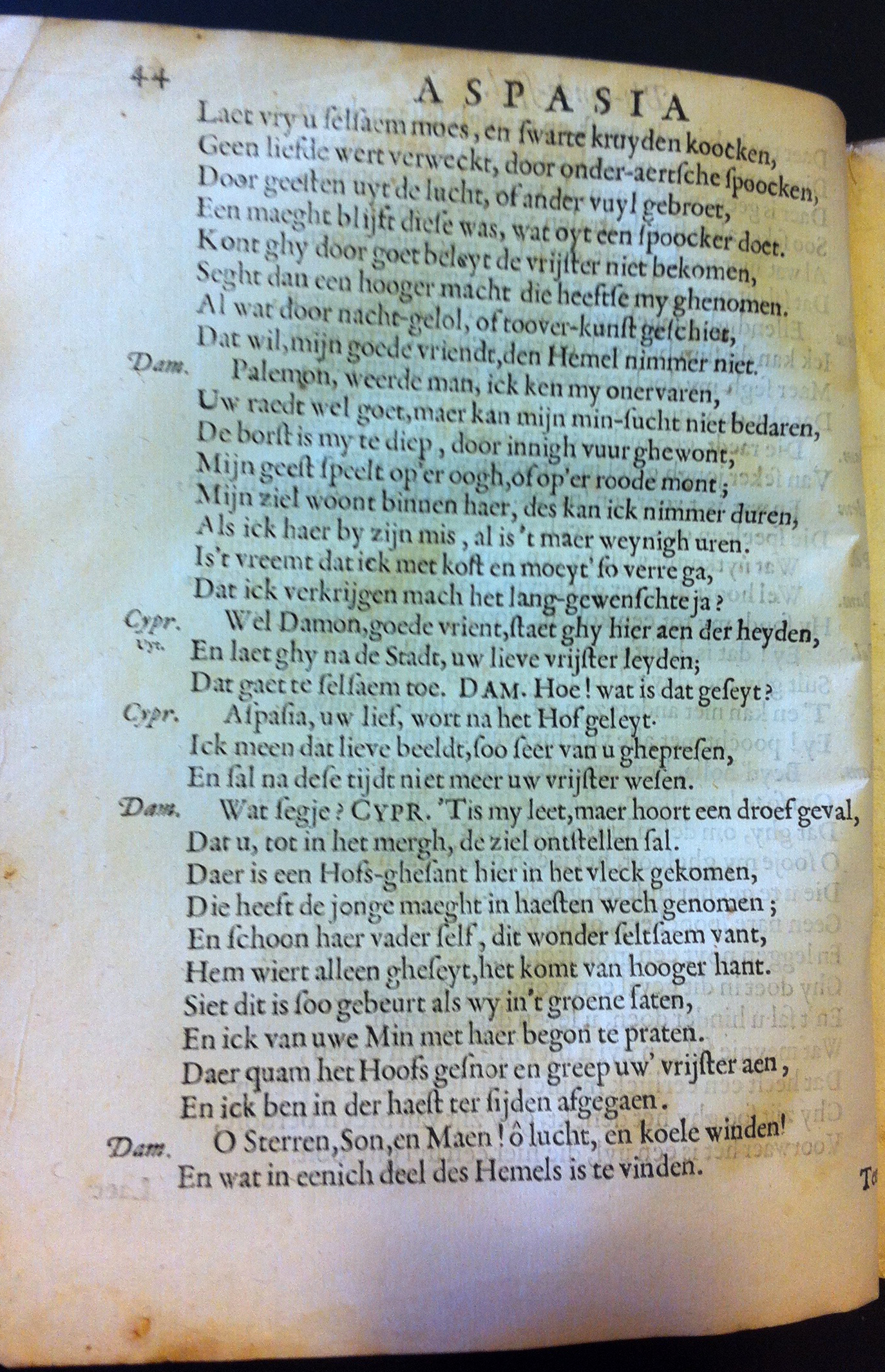 catsaspasia1655_50.jpg