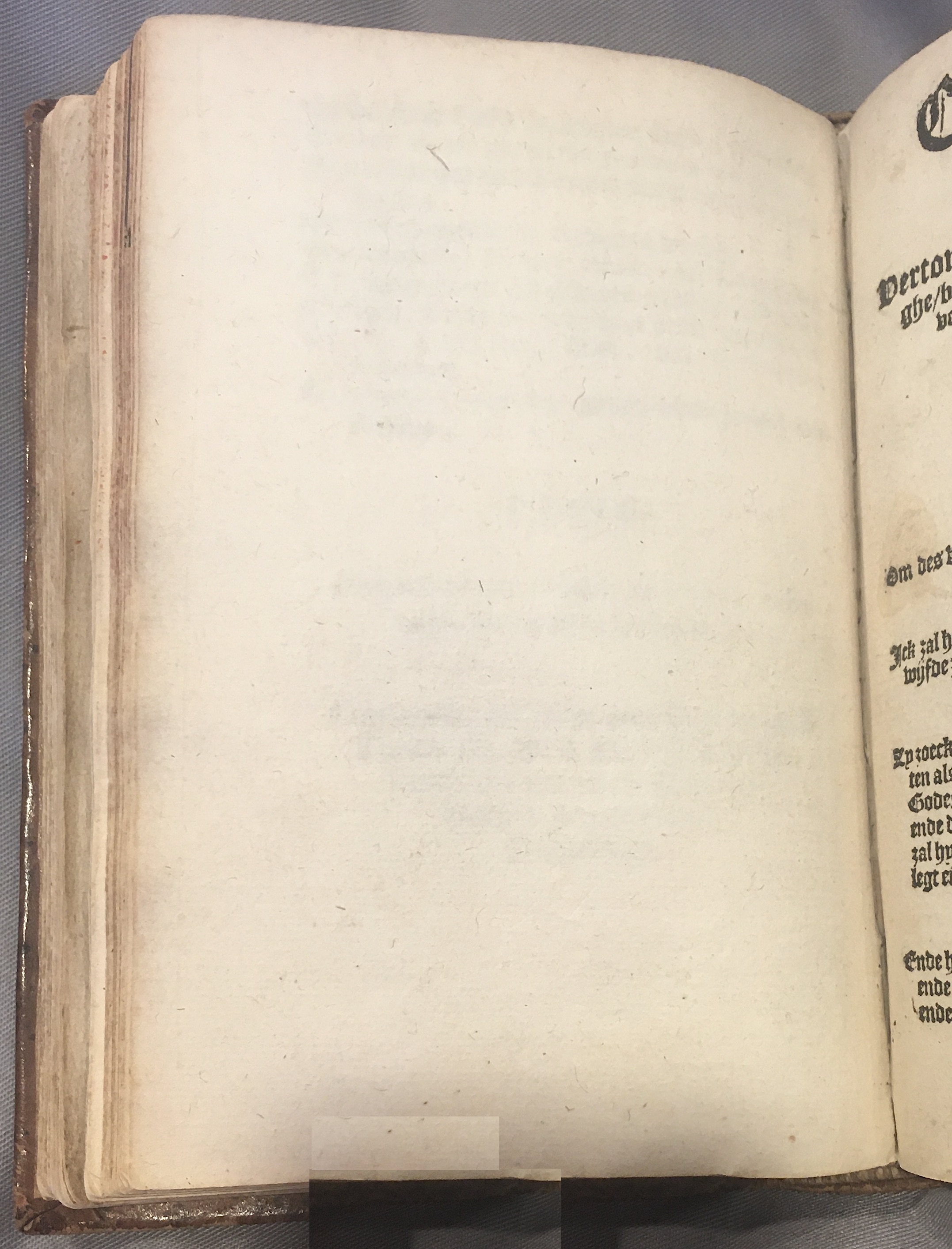 CoornhertLiefLeedt1582p80.jpg