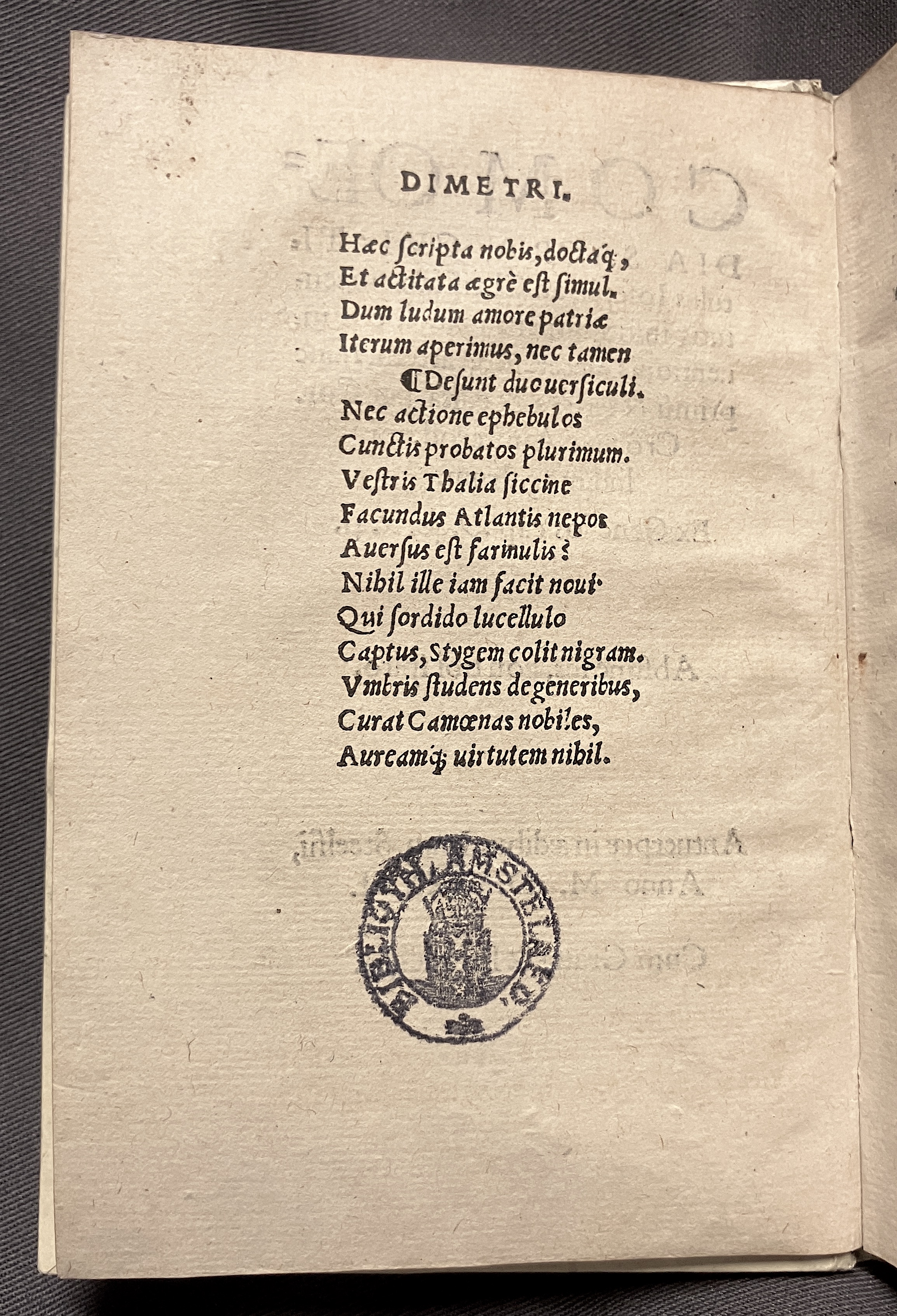CrocusIoseph1536p02