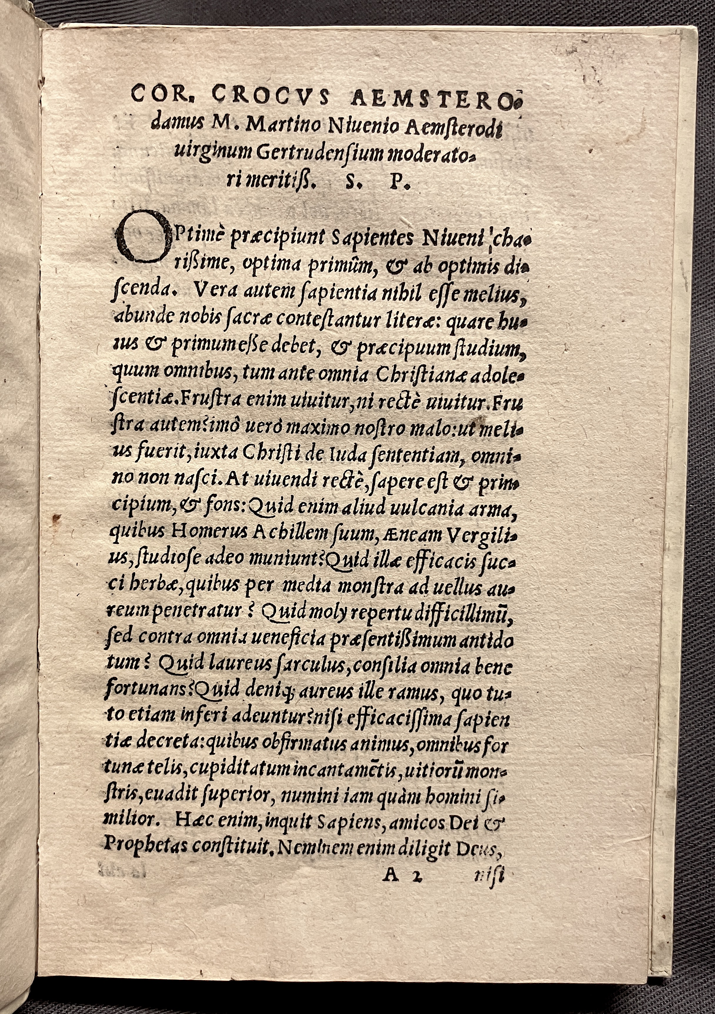 CrocusIoseph1536p03