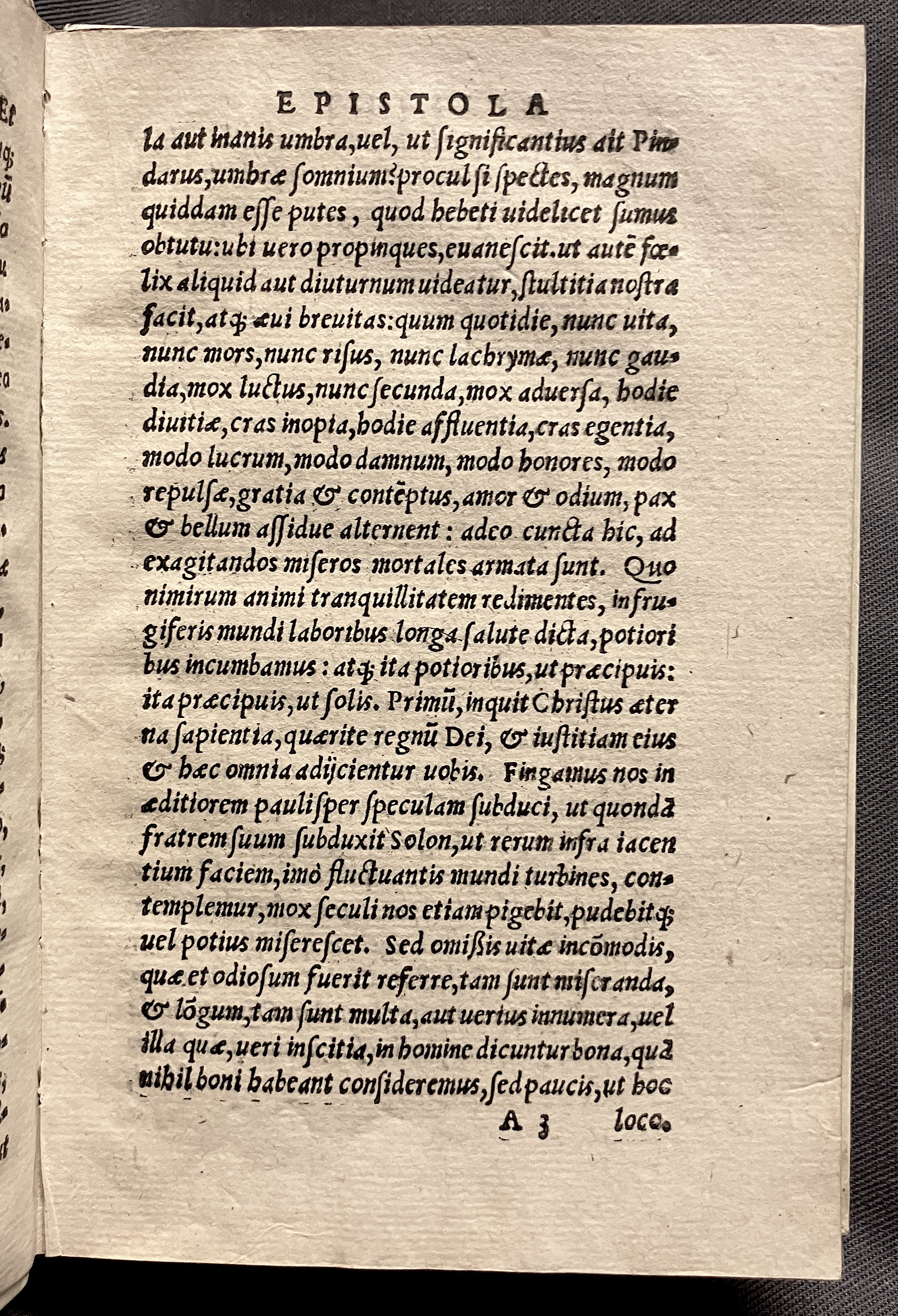 CrocusIoseph1536p05