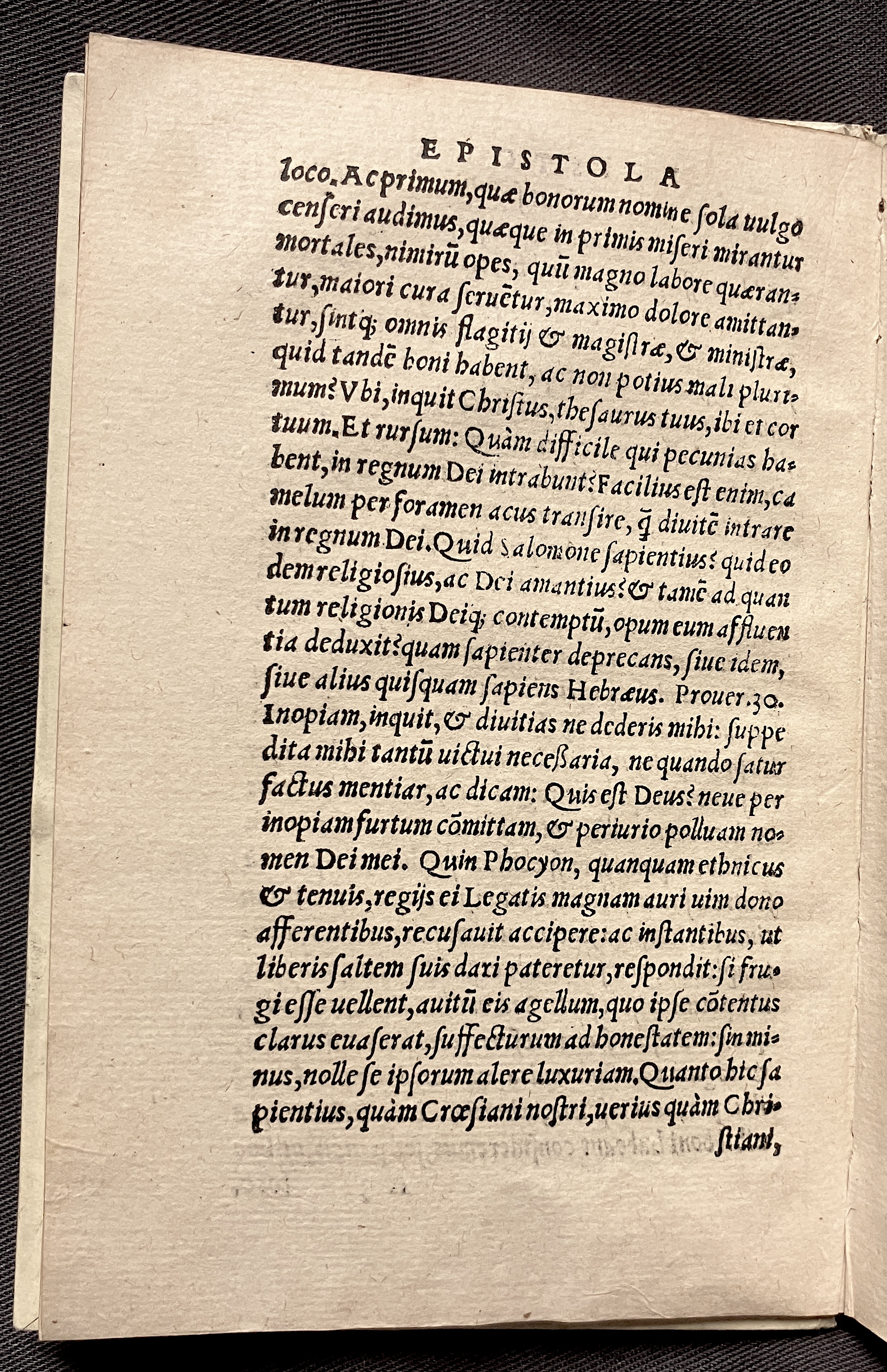 CrocusIoseph1536p06