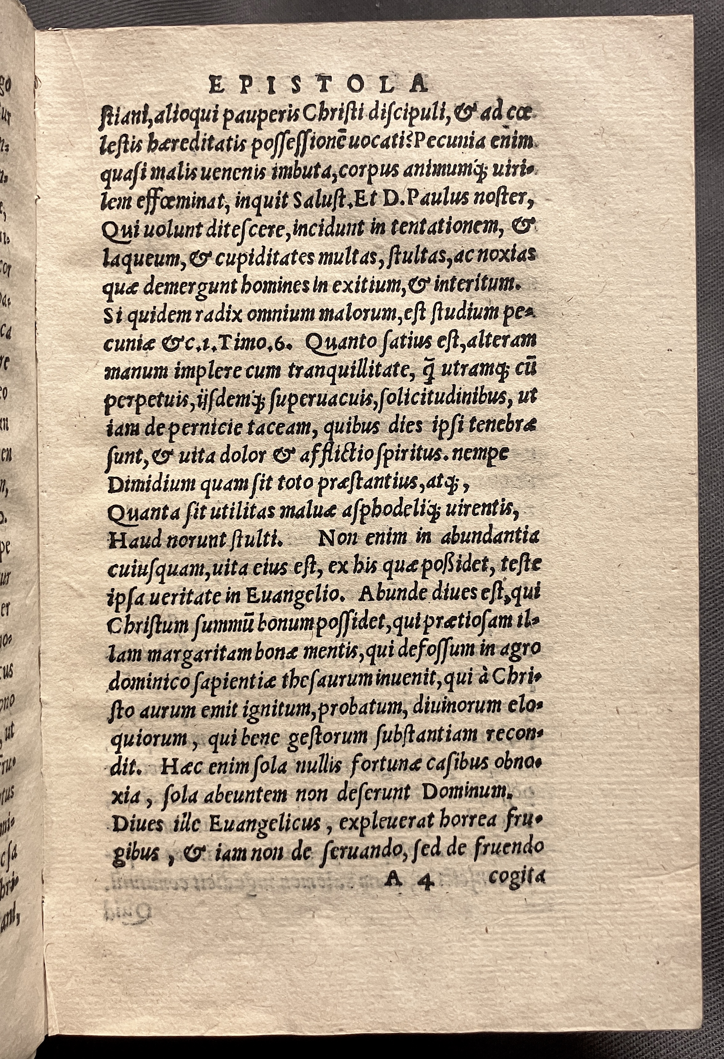 CrocusIoseph1536p07