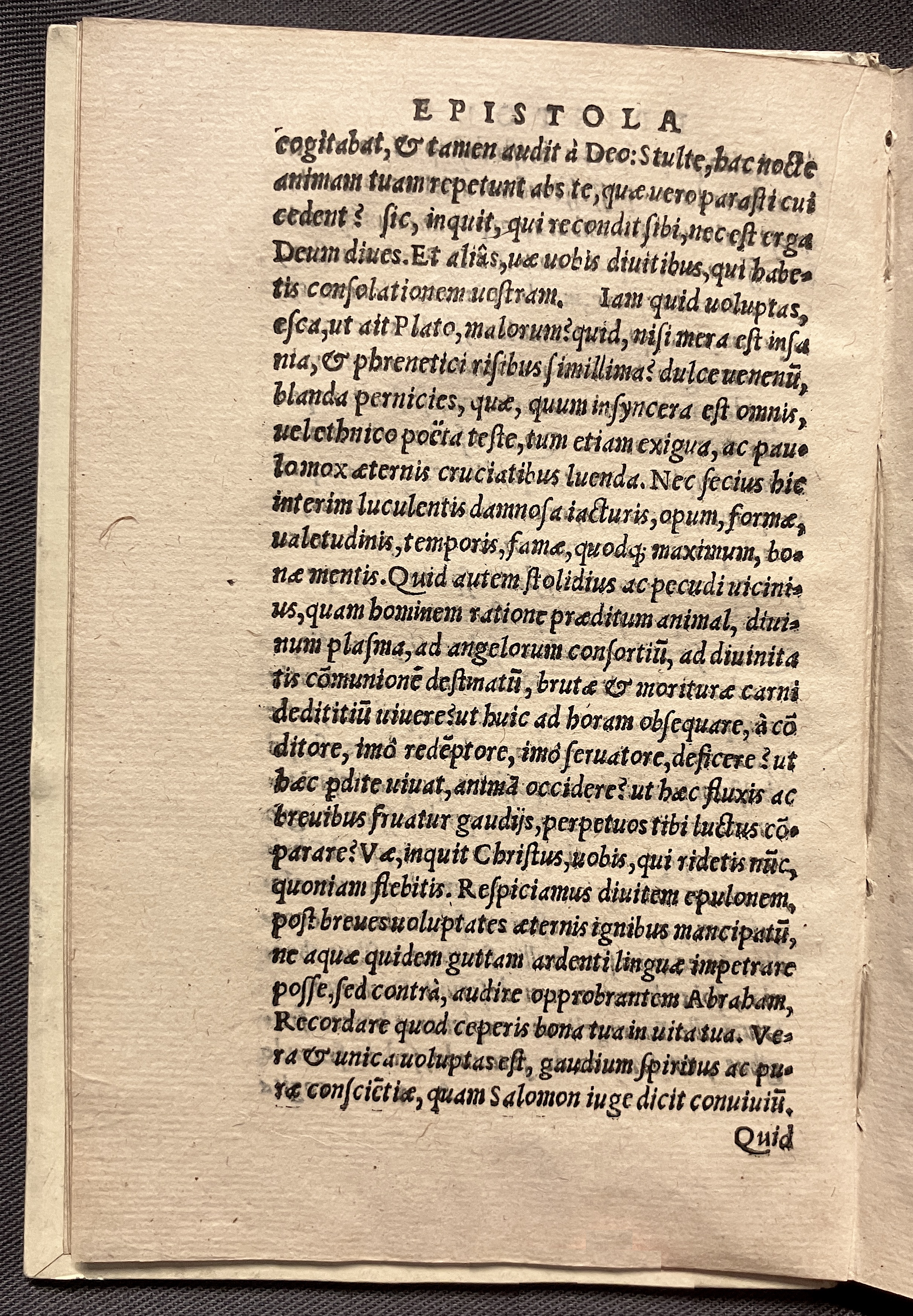 CrocusIoseph1536p08