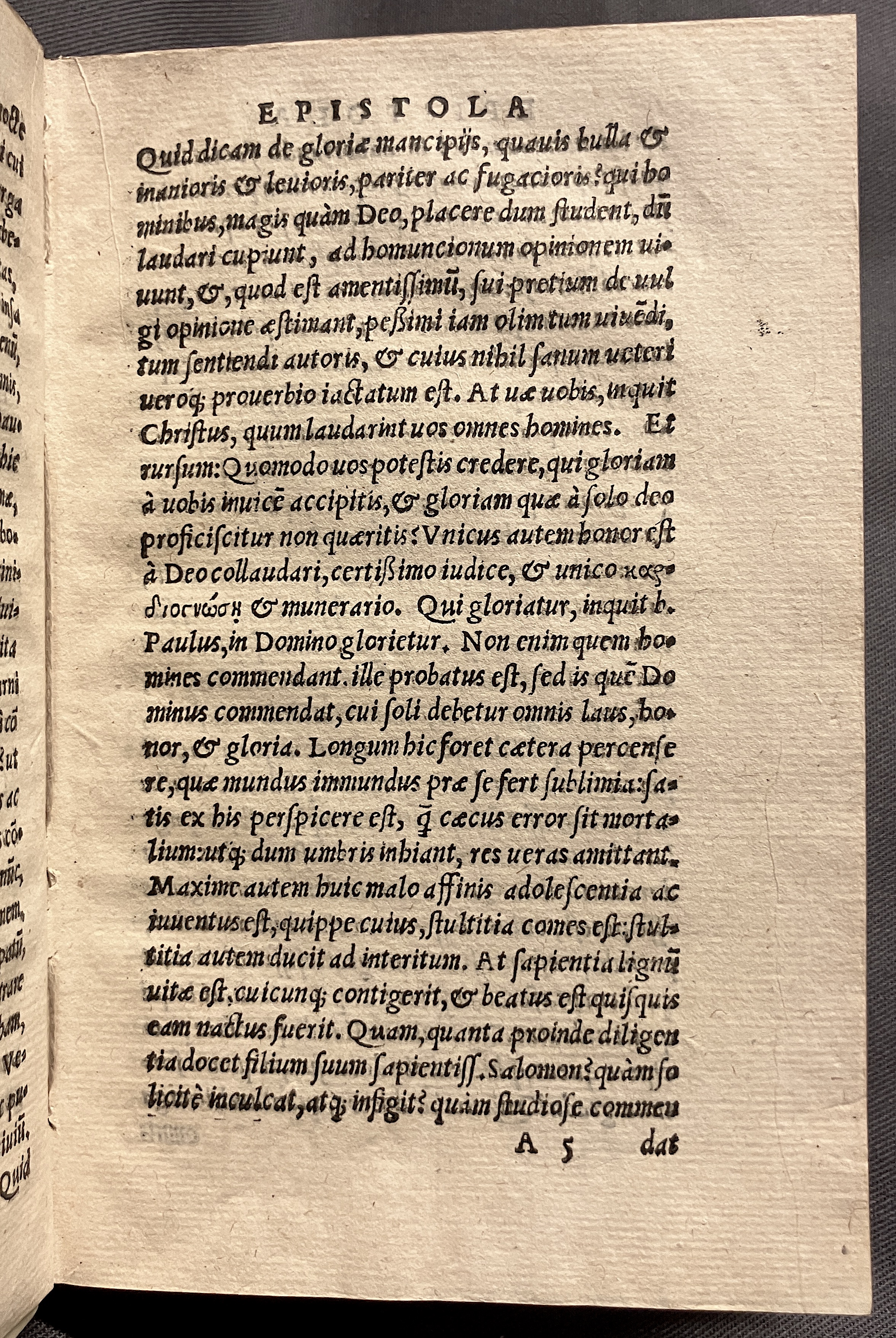 CrocusIoseph1536p09