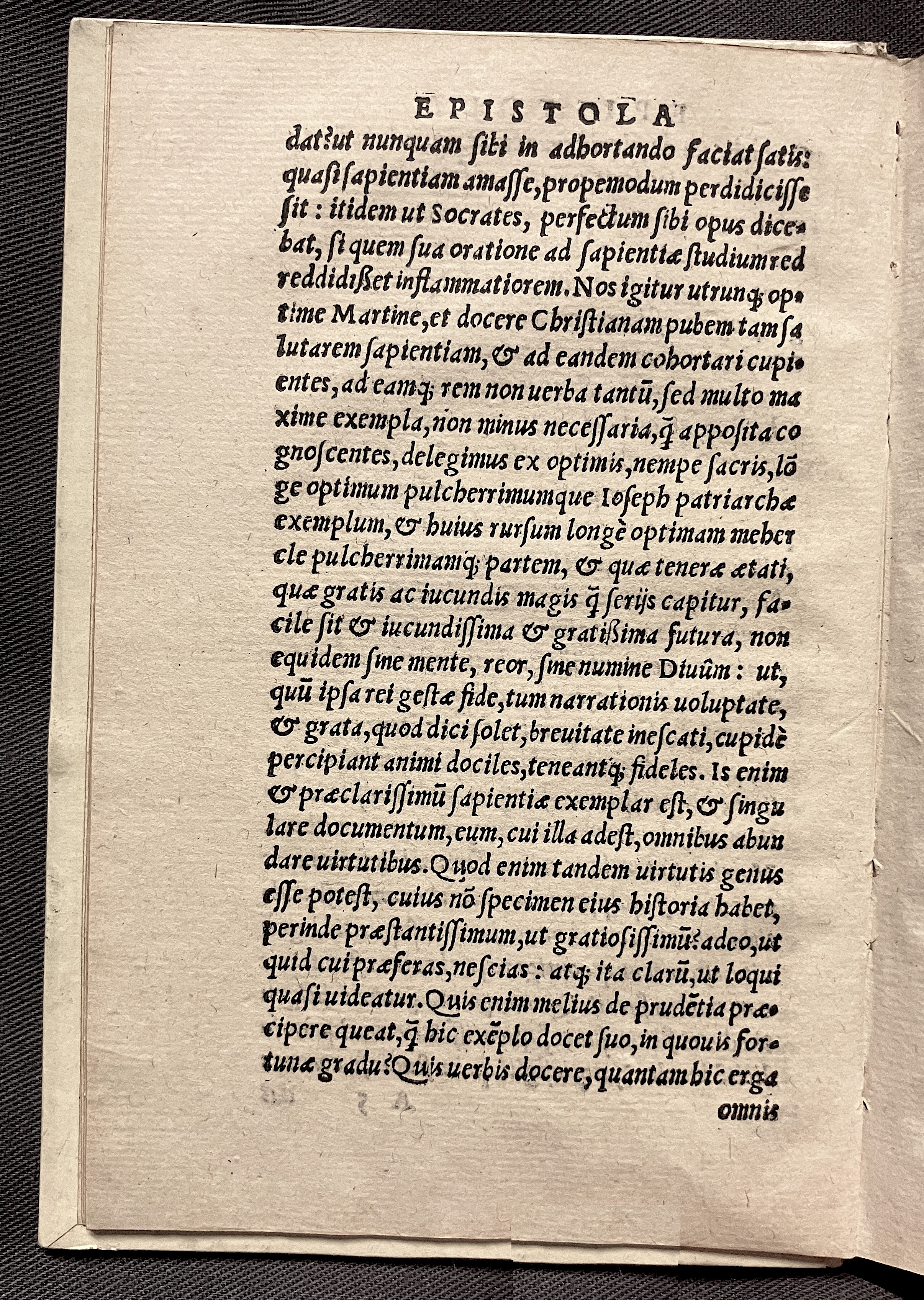 CrocusIoseph1536p10