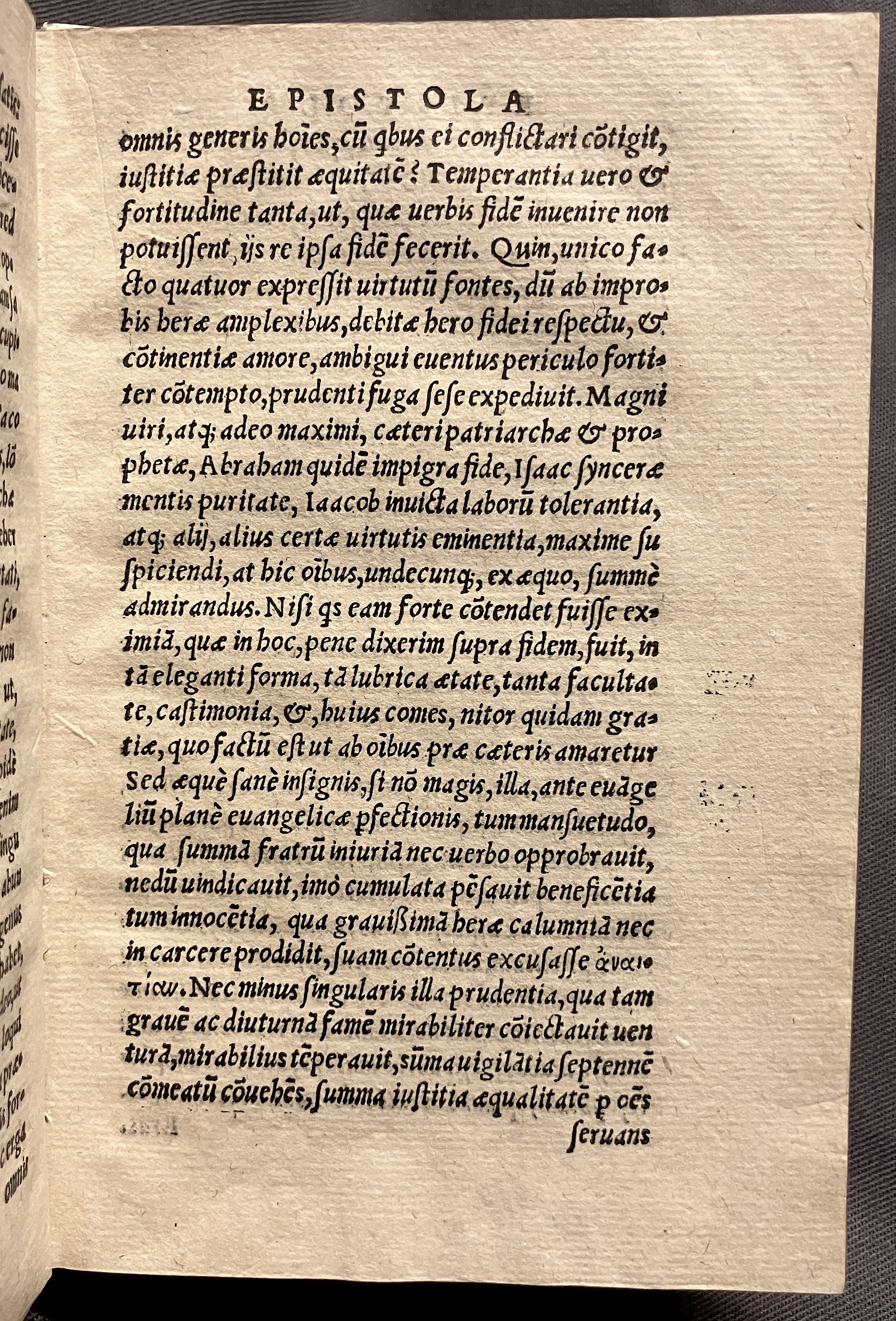 CrocusIoseph1536p11