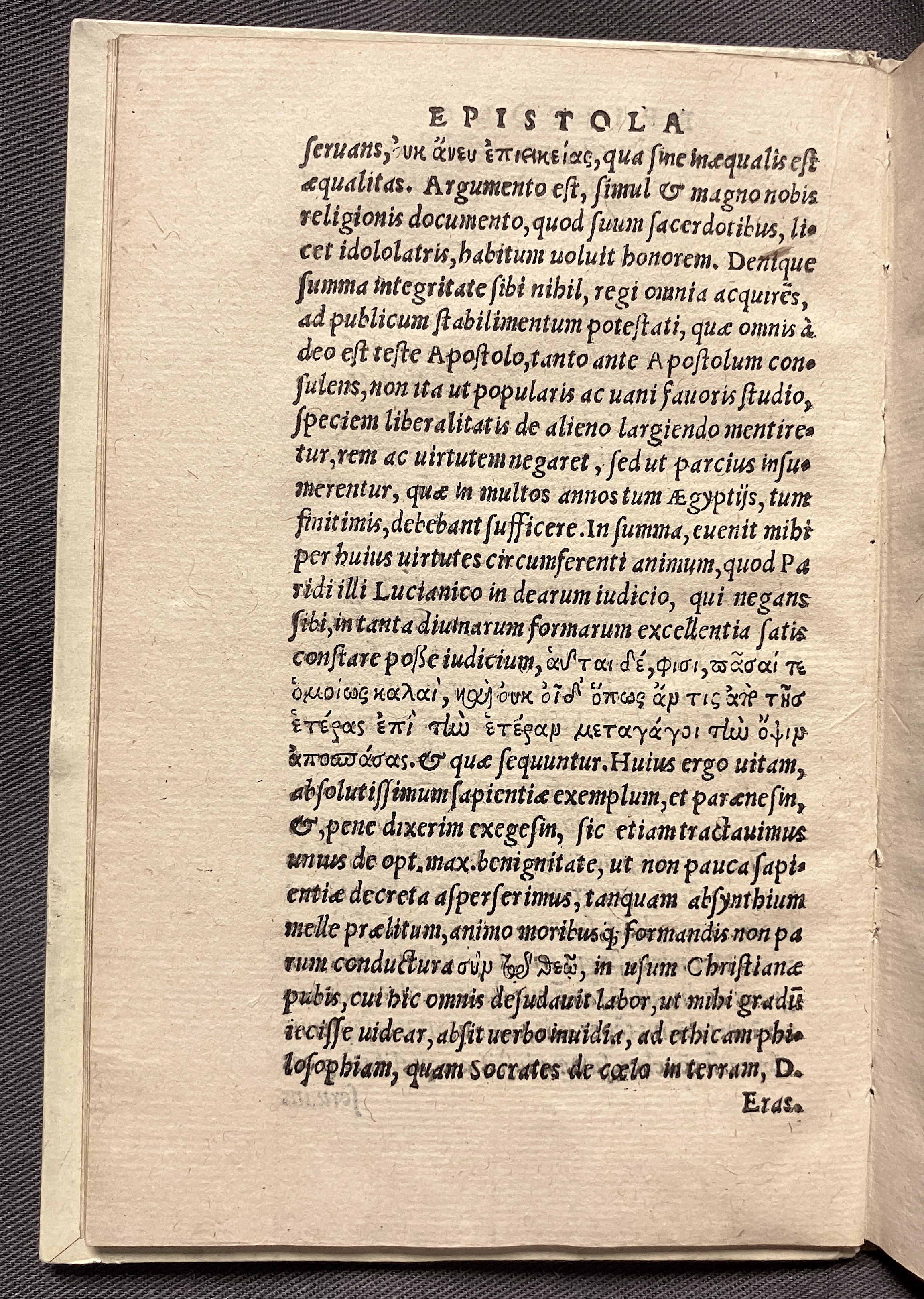 CrocusIoseph1536p12