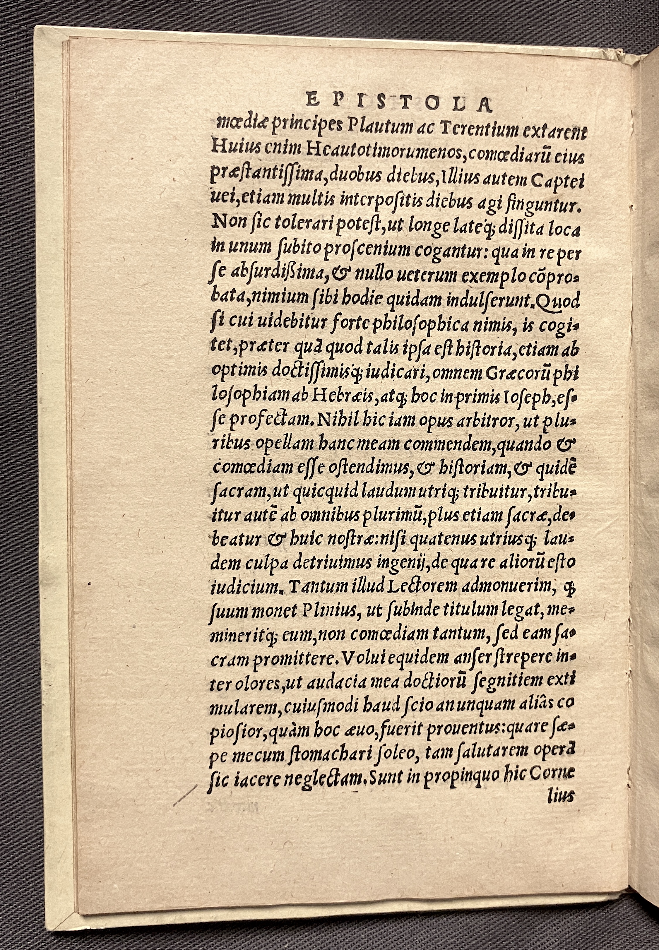 CrocusIoseph1536p14