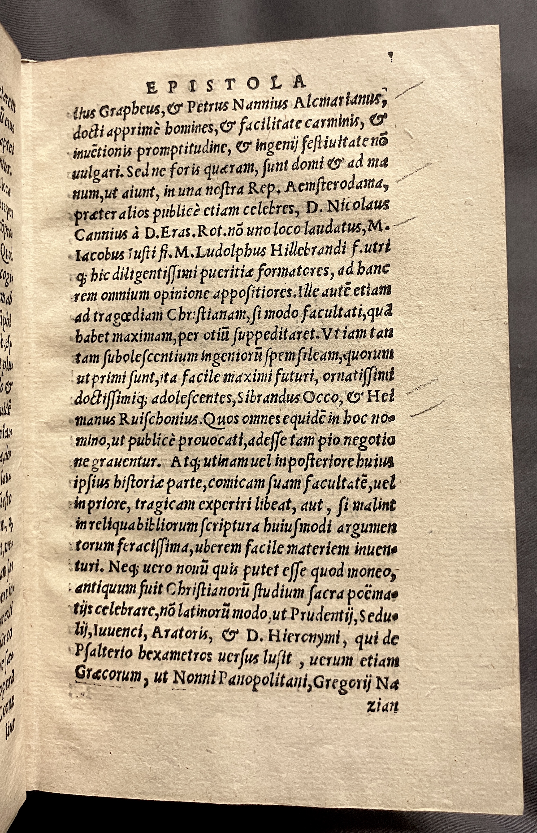 CrocusIoseph1536p15