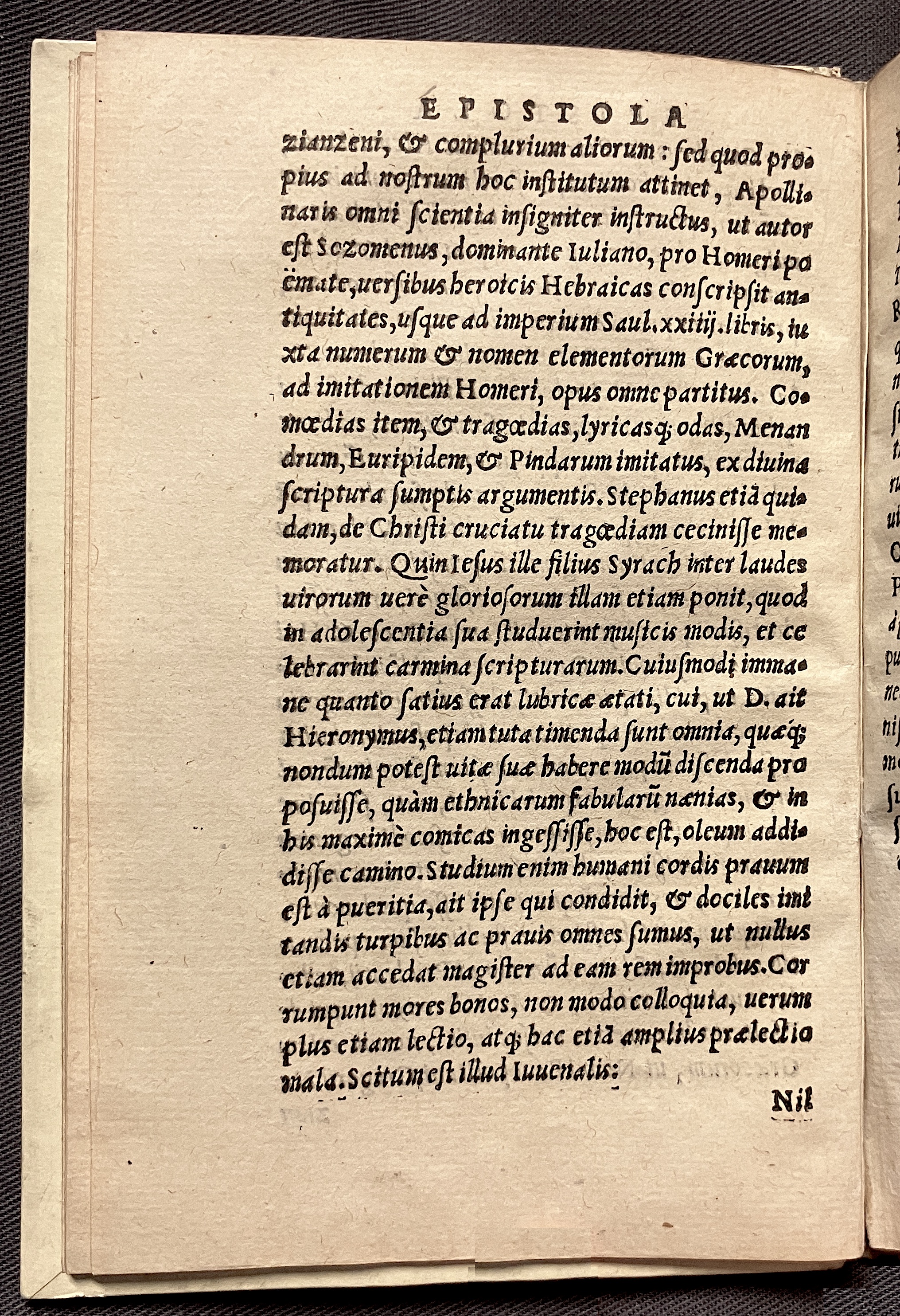 CrocusIoseph1536p16