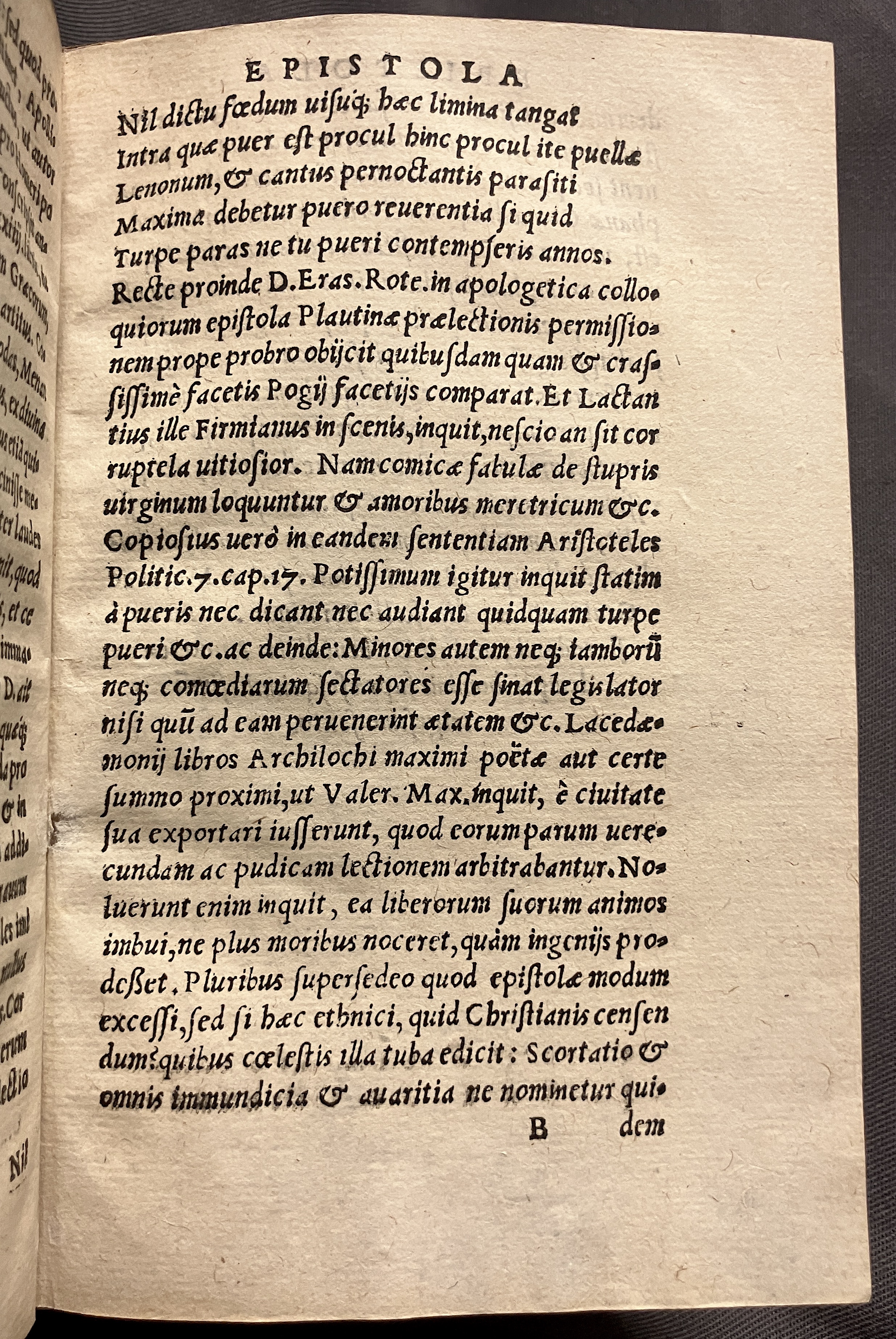 CrocusIoseph1536p17