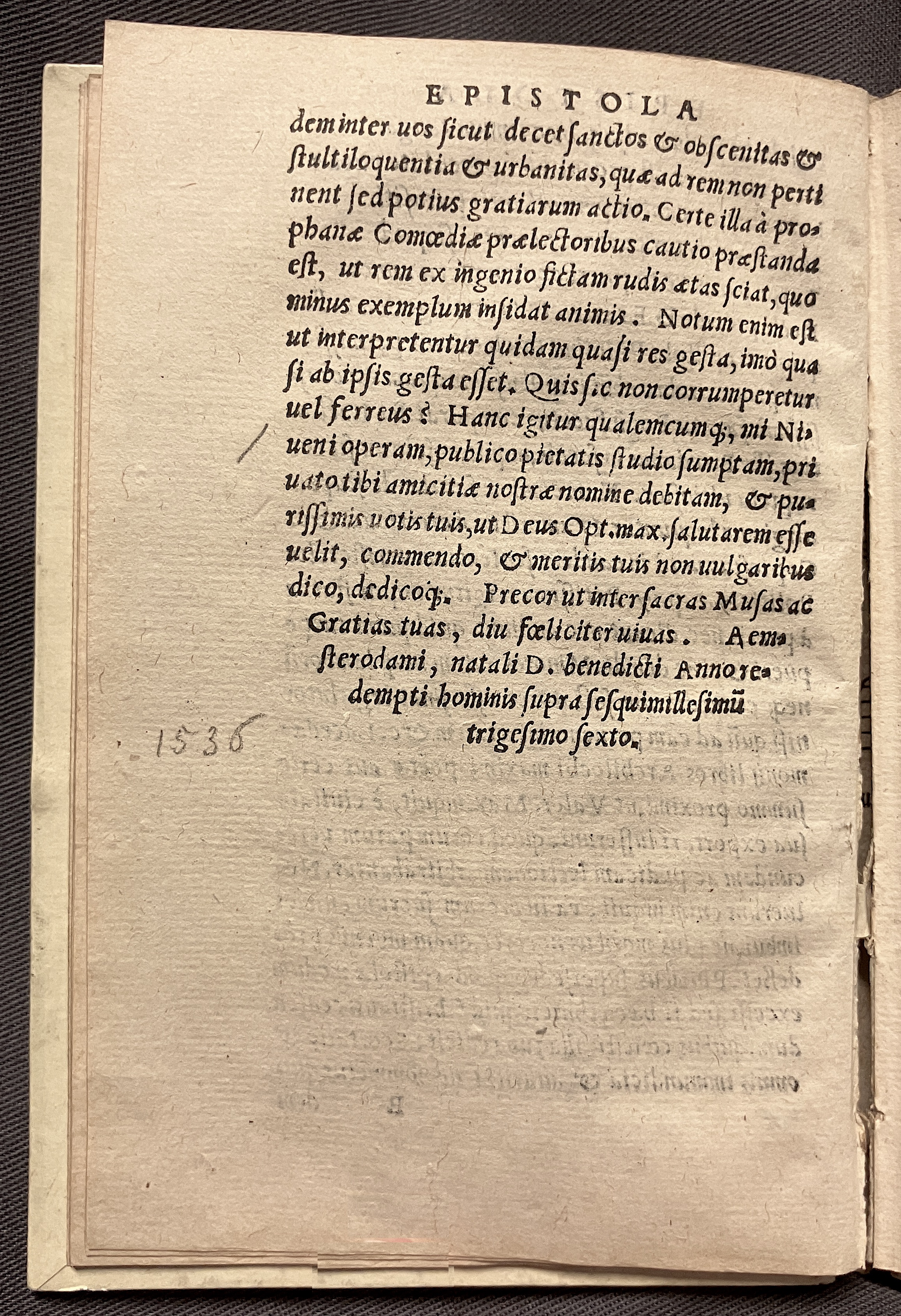 CrocusIoseph1536p18
