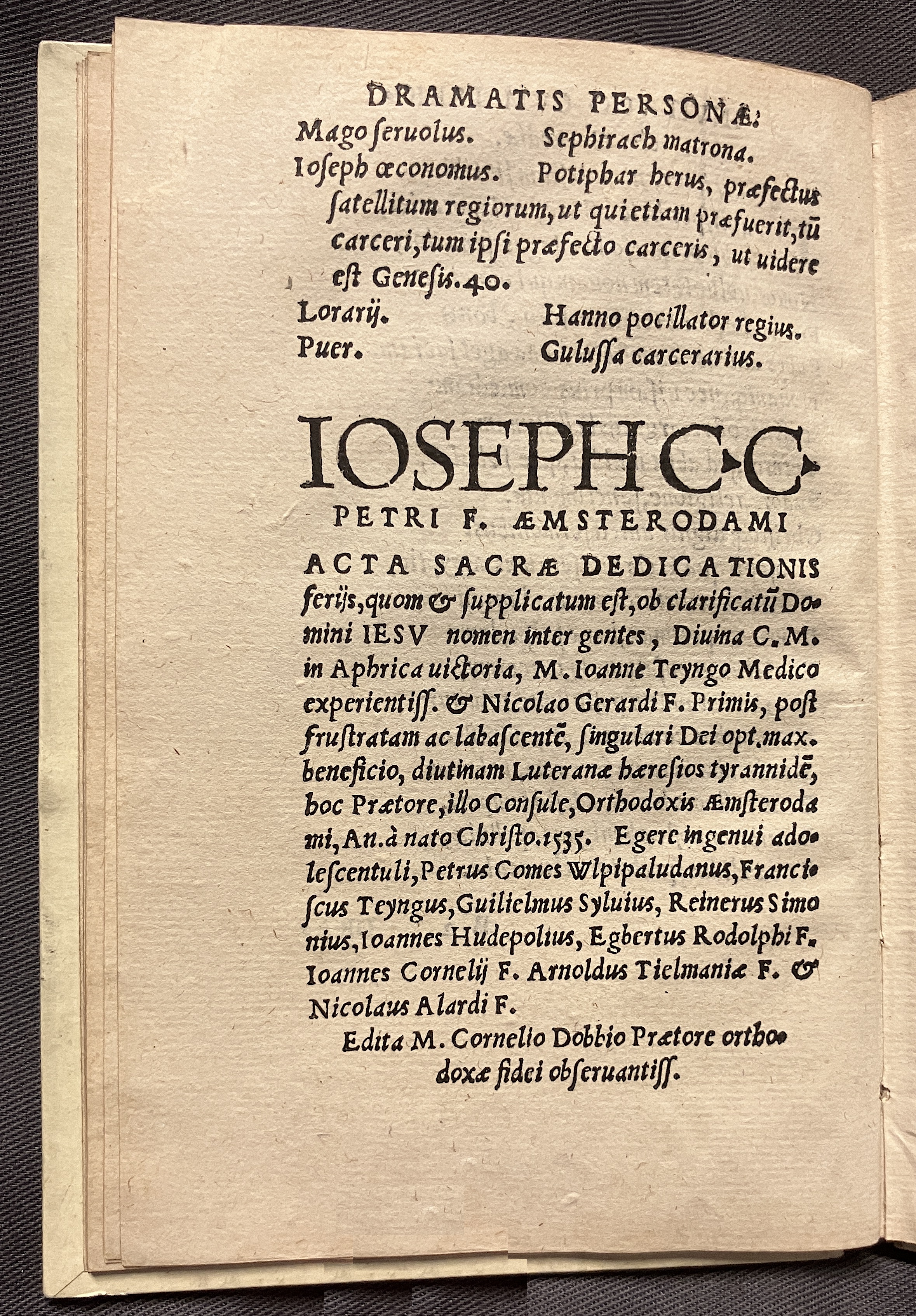 CrocusIoseph1536p20