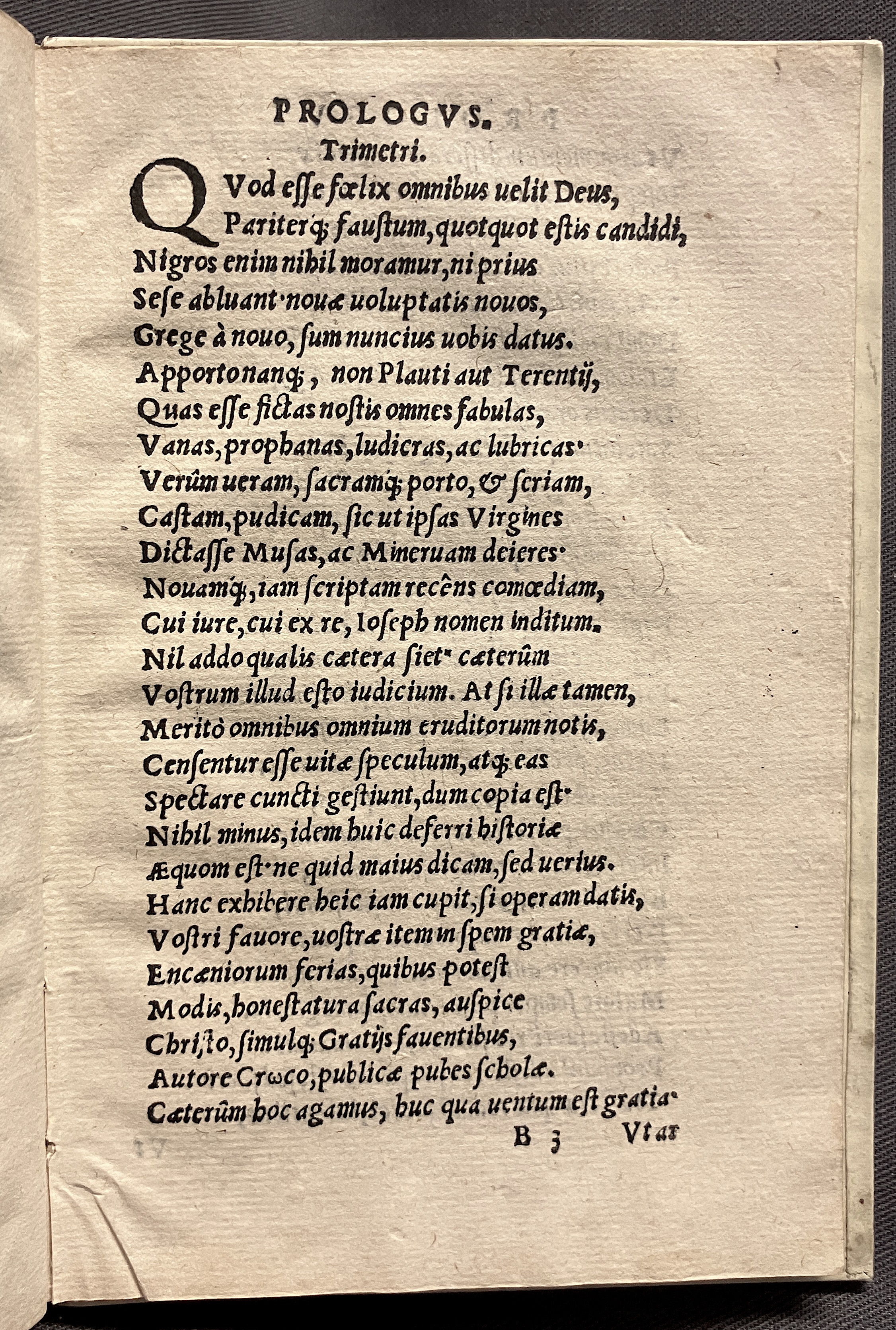 CrocusIoseph1536p21