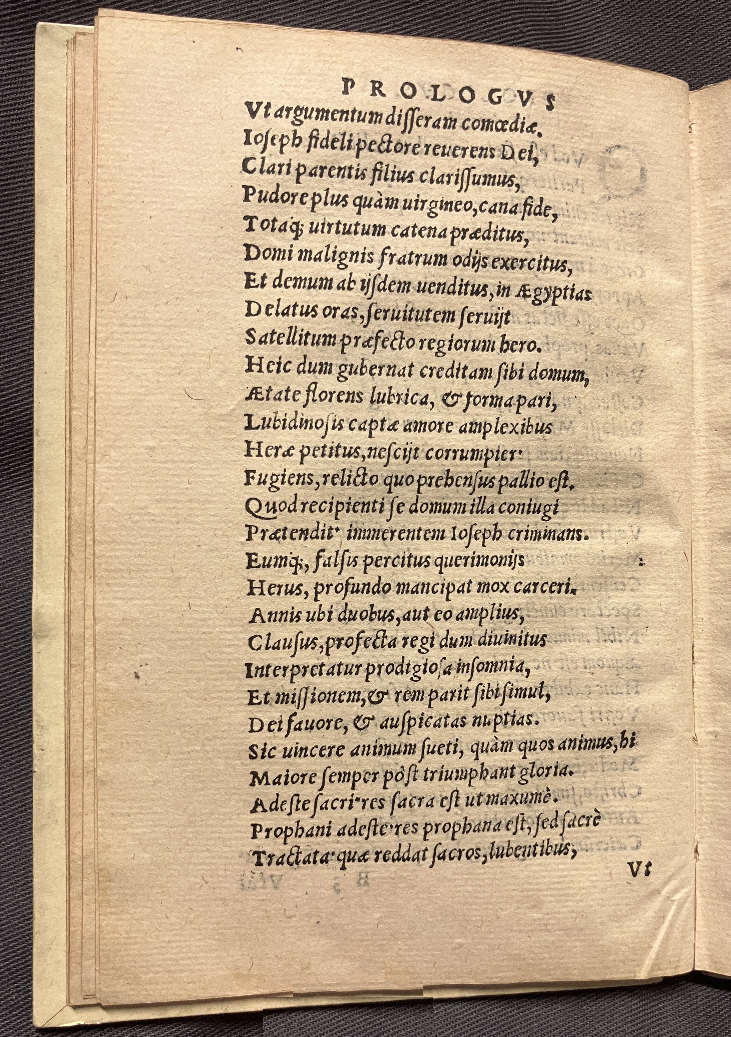 CrocusIoseph1536p22