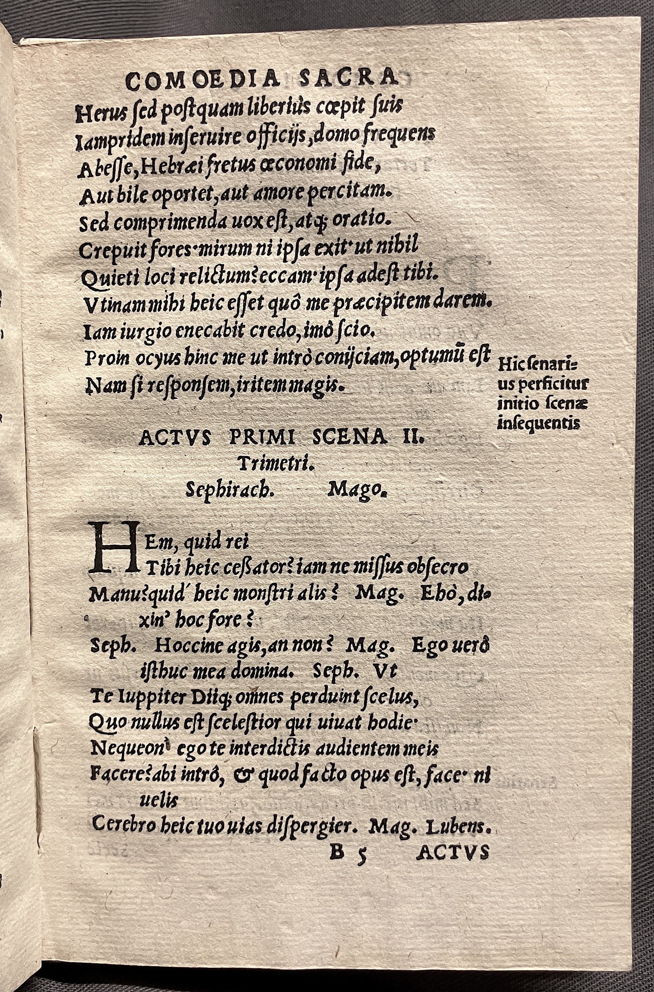 CrocusIoseph1536p25
