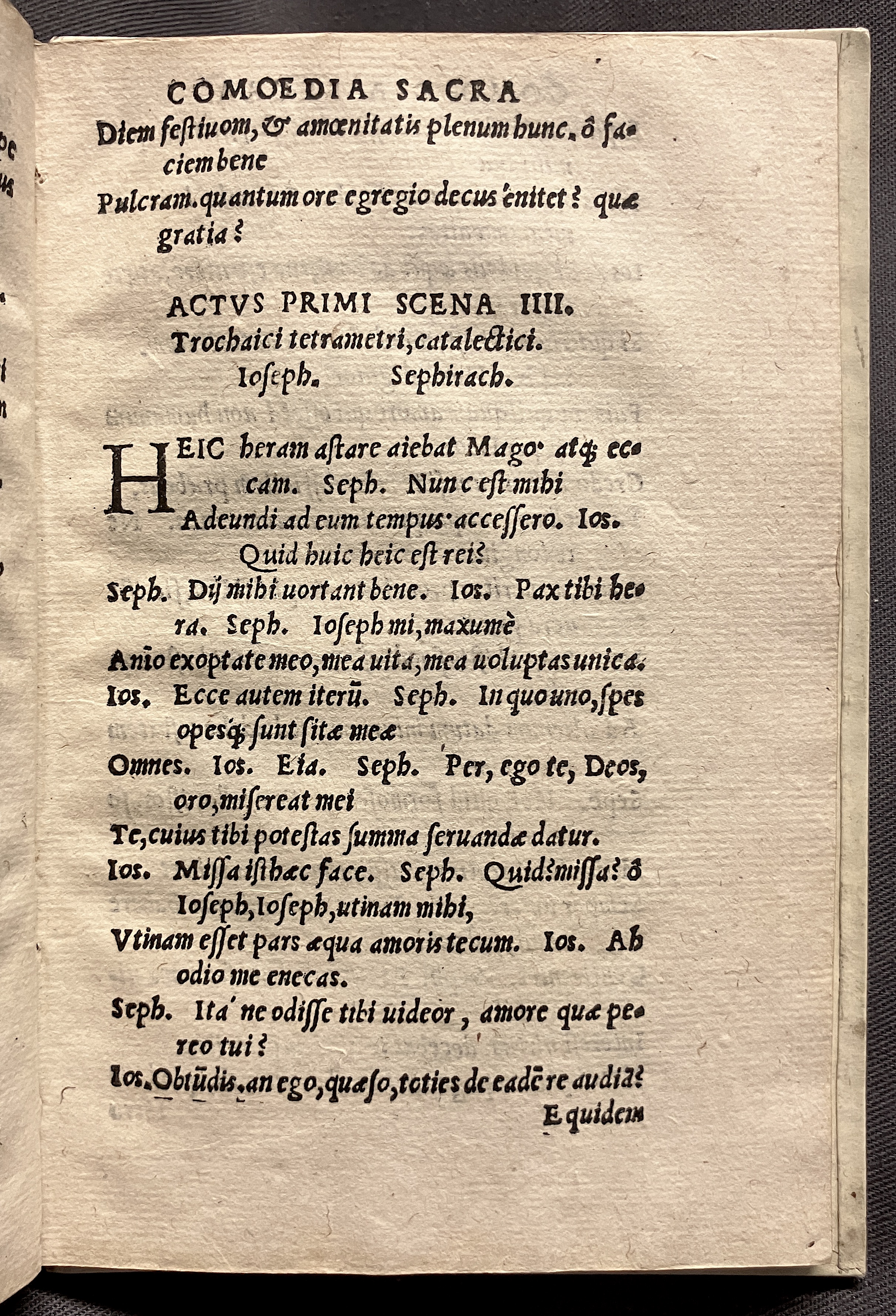 CrocusIoseph1536p29