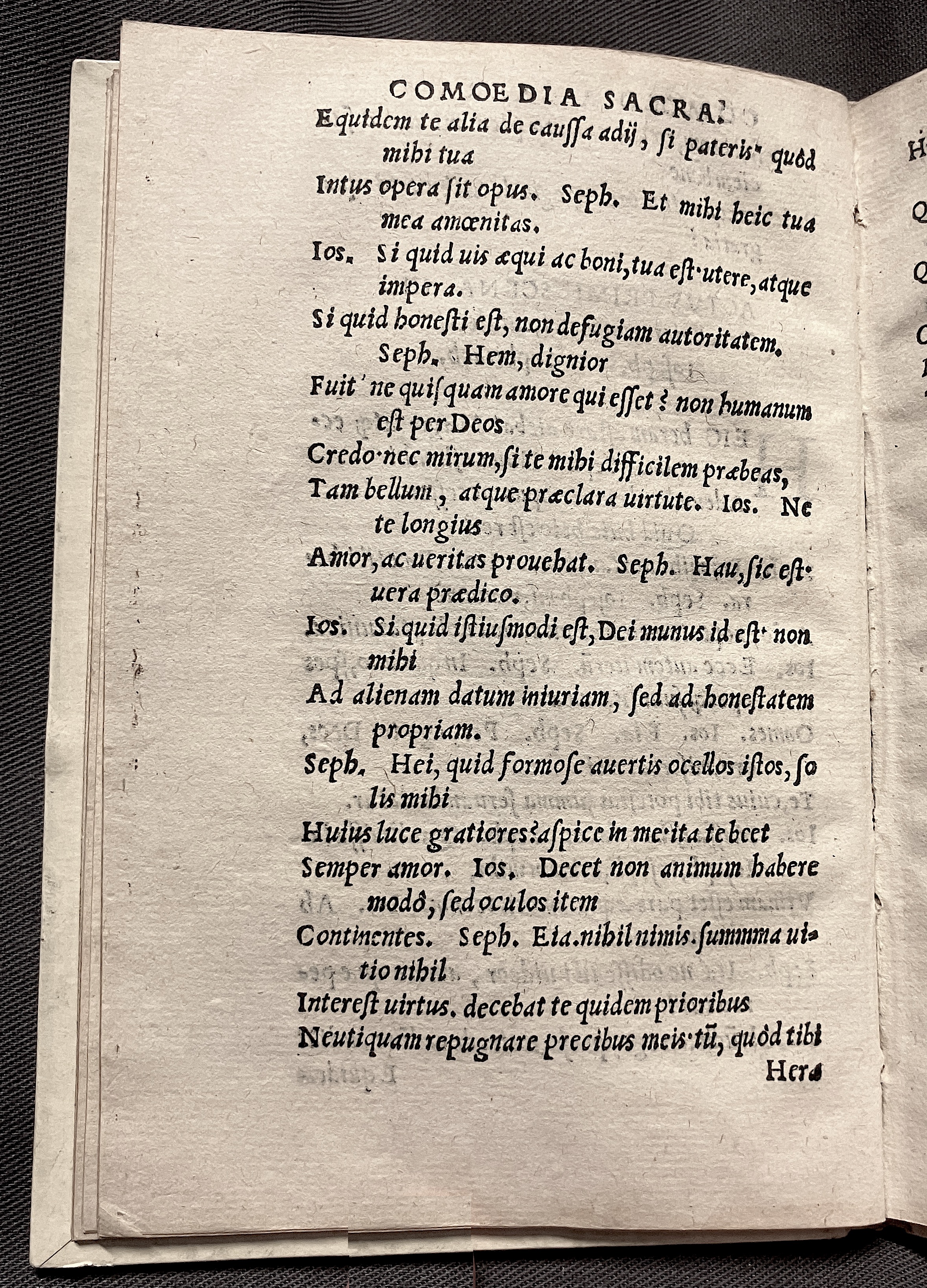 CrocusIoseph1536p30
