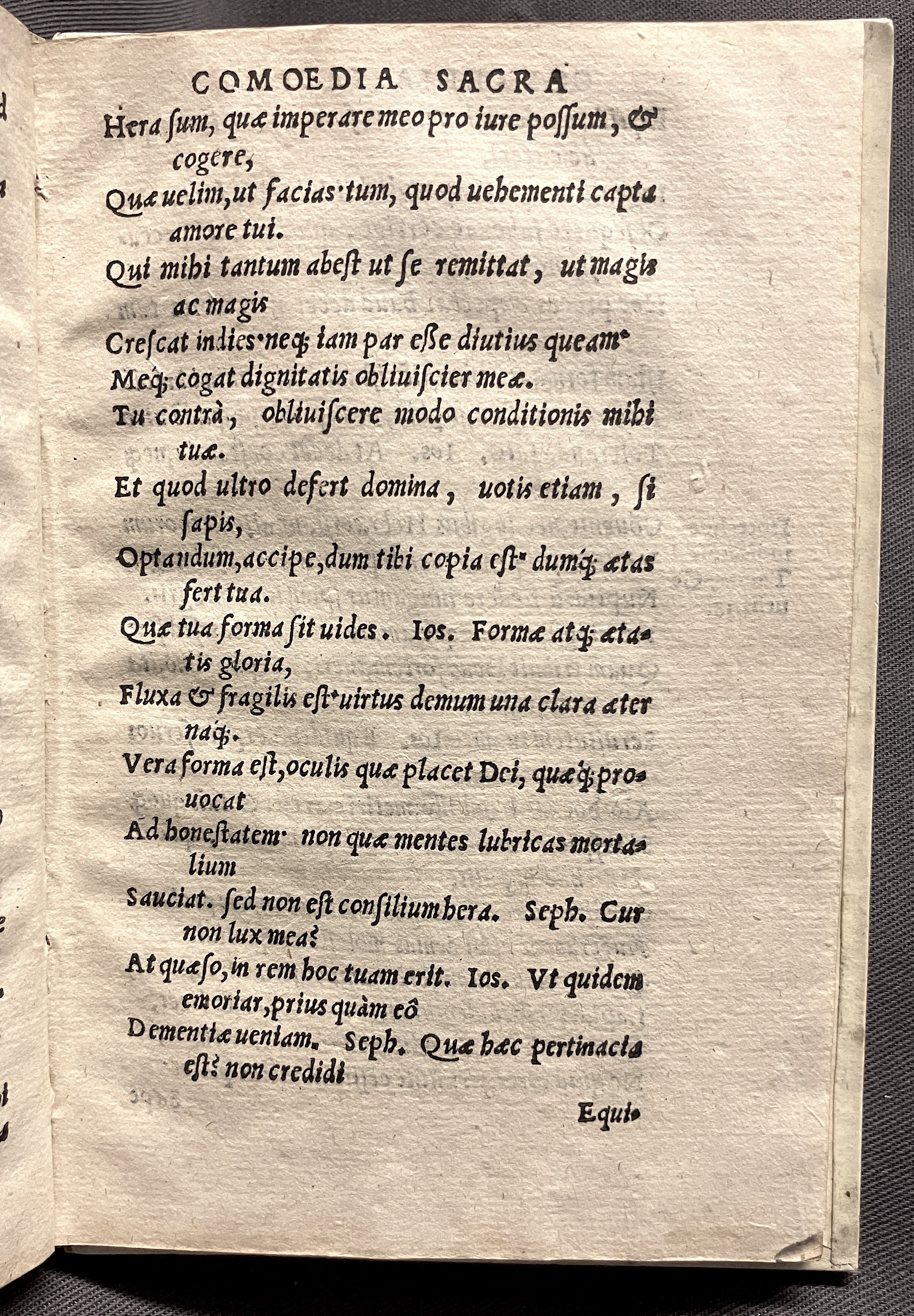 CrocusIoseph1536p31