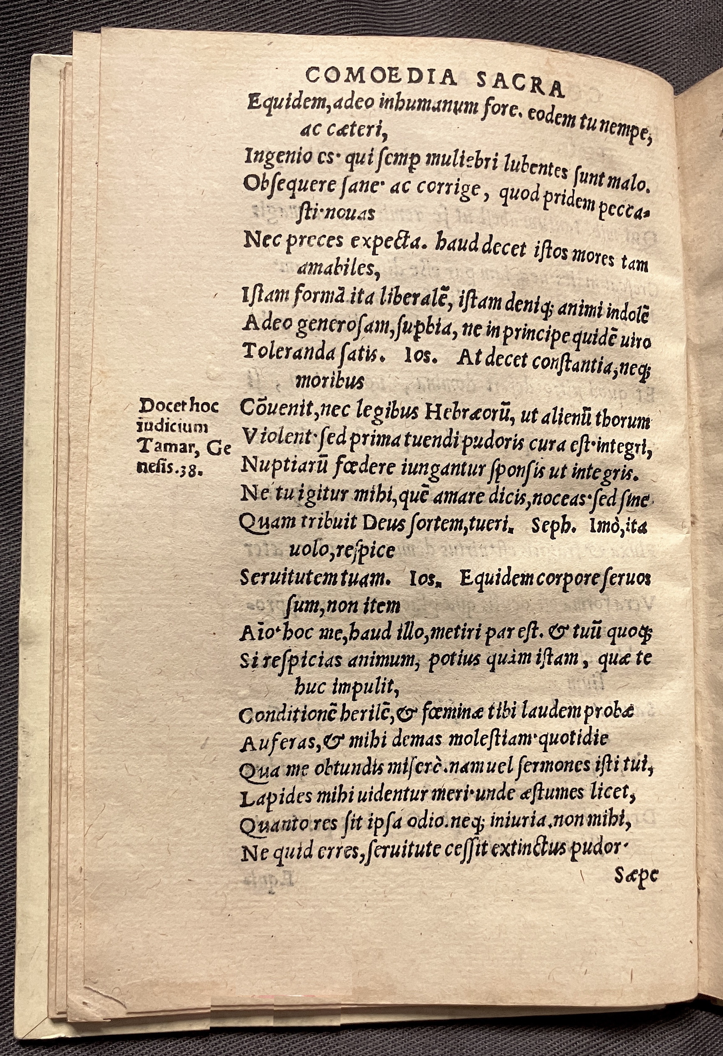CrocusIoseph1536p32