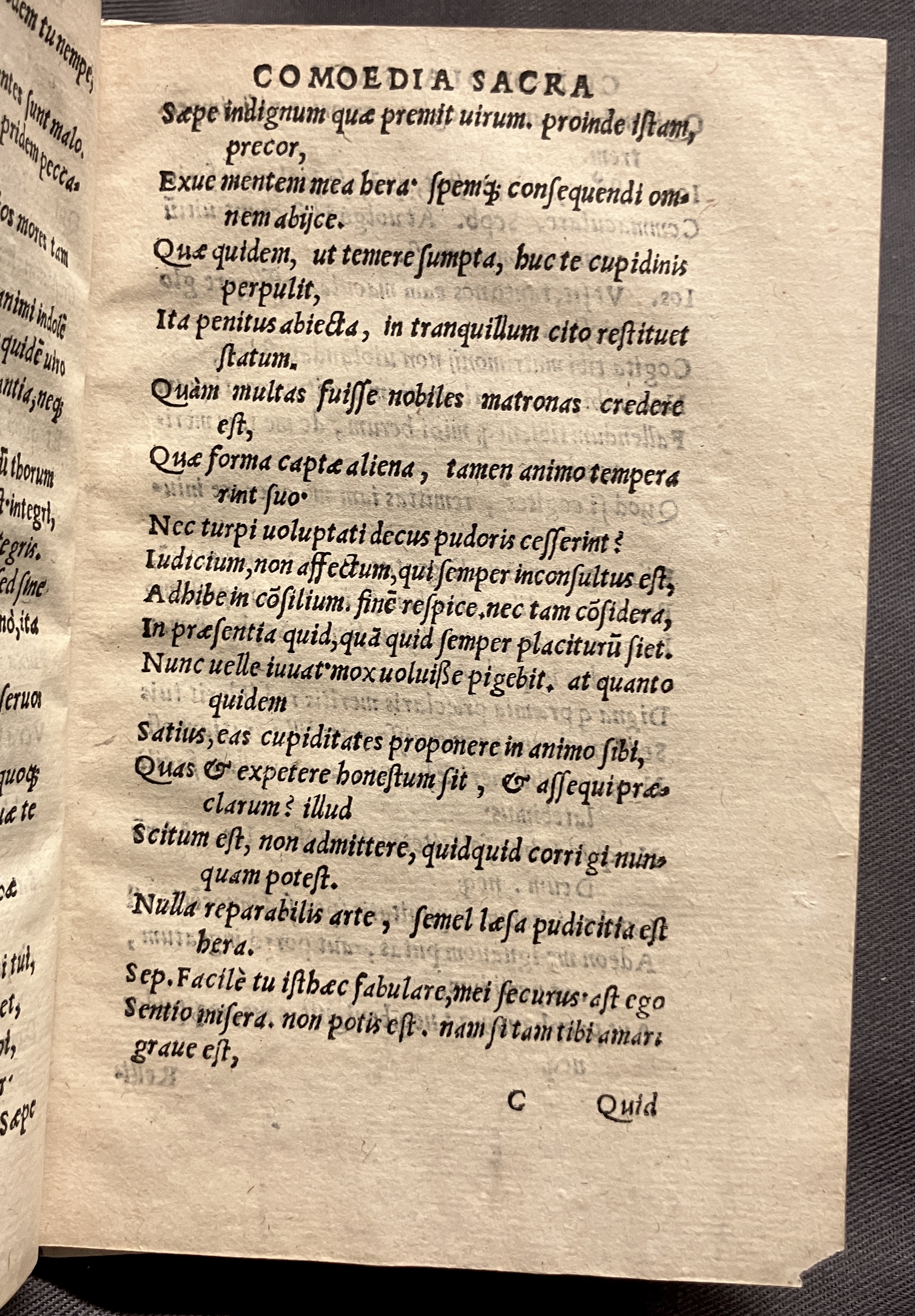 CrocusIoseph1536p33