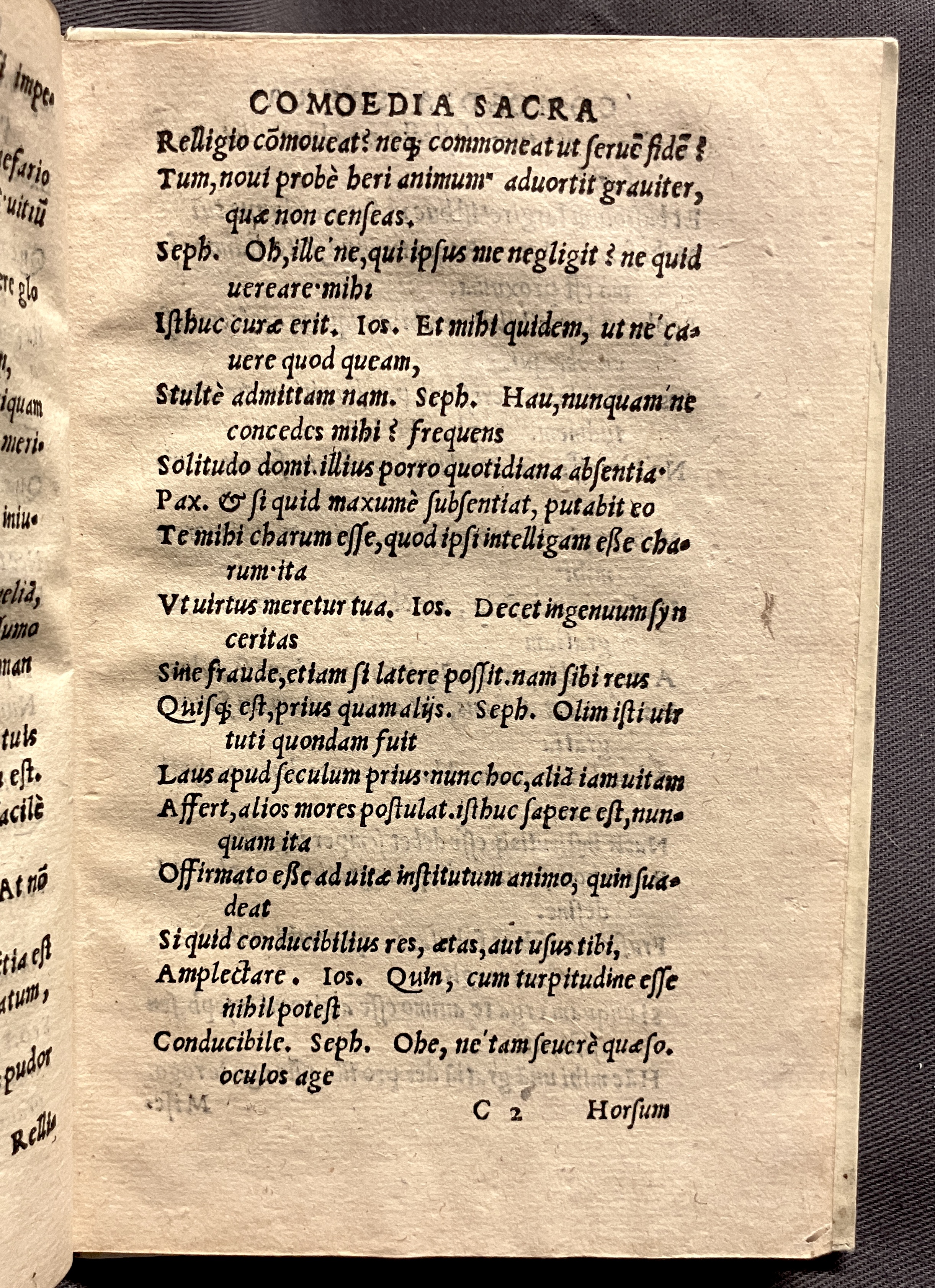 CrocusIoseph1536p35