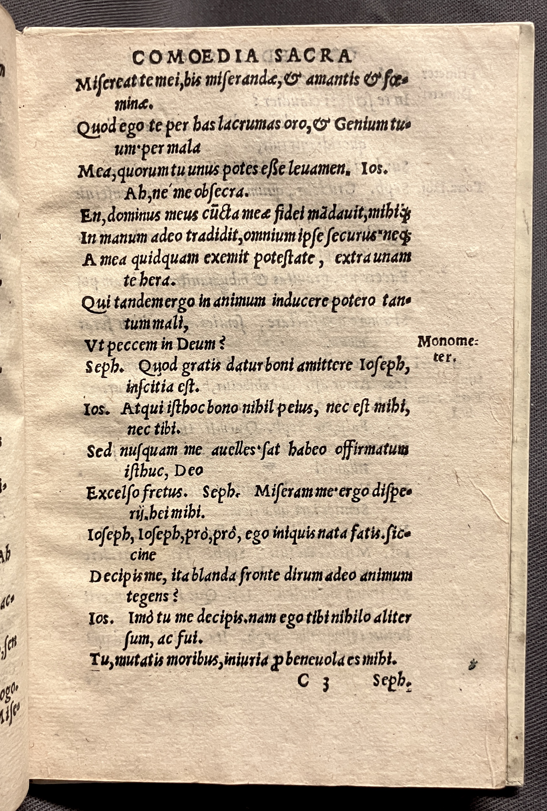 CrocusIoseph1536p37