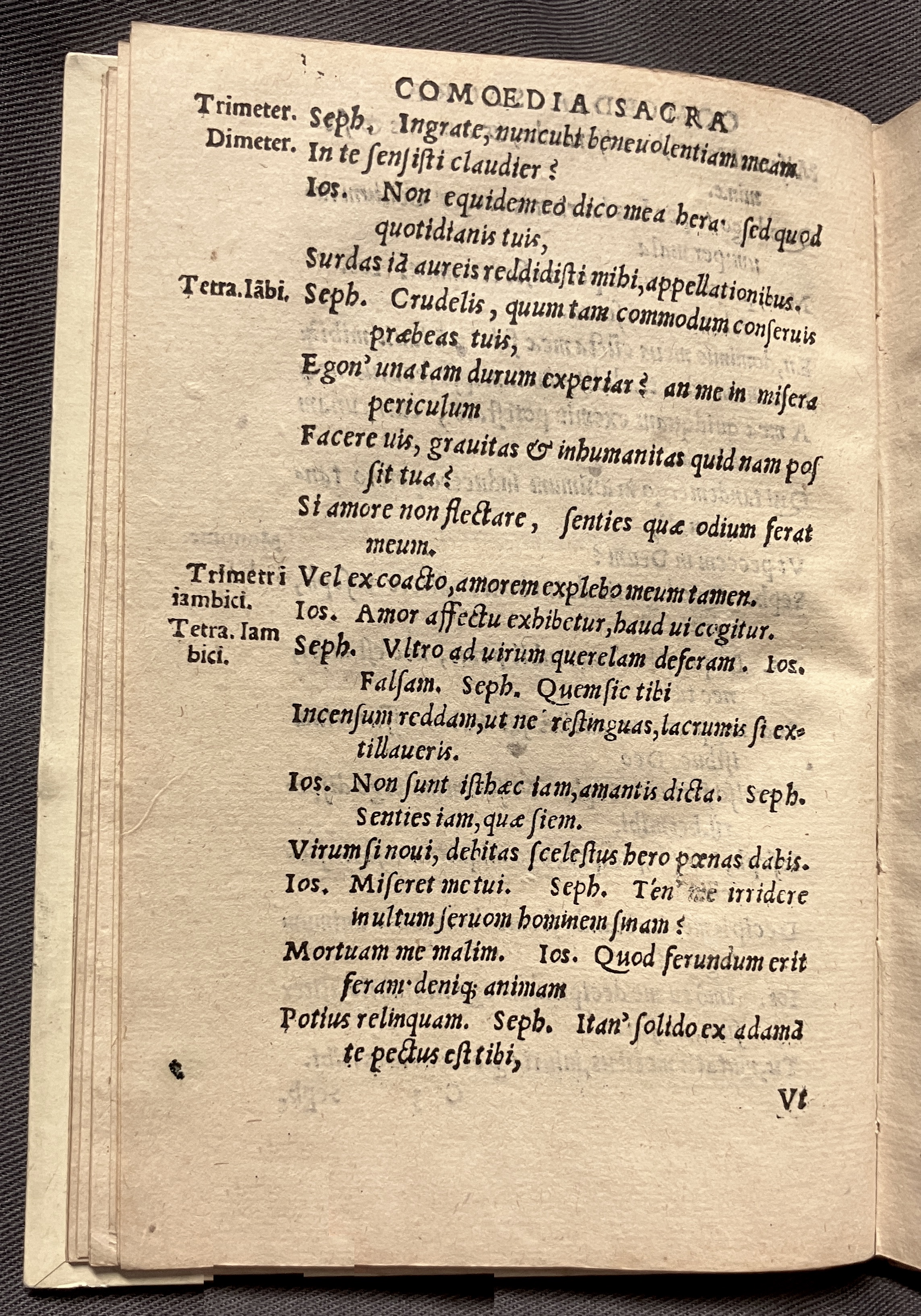 CrocusIoseph1536p38