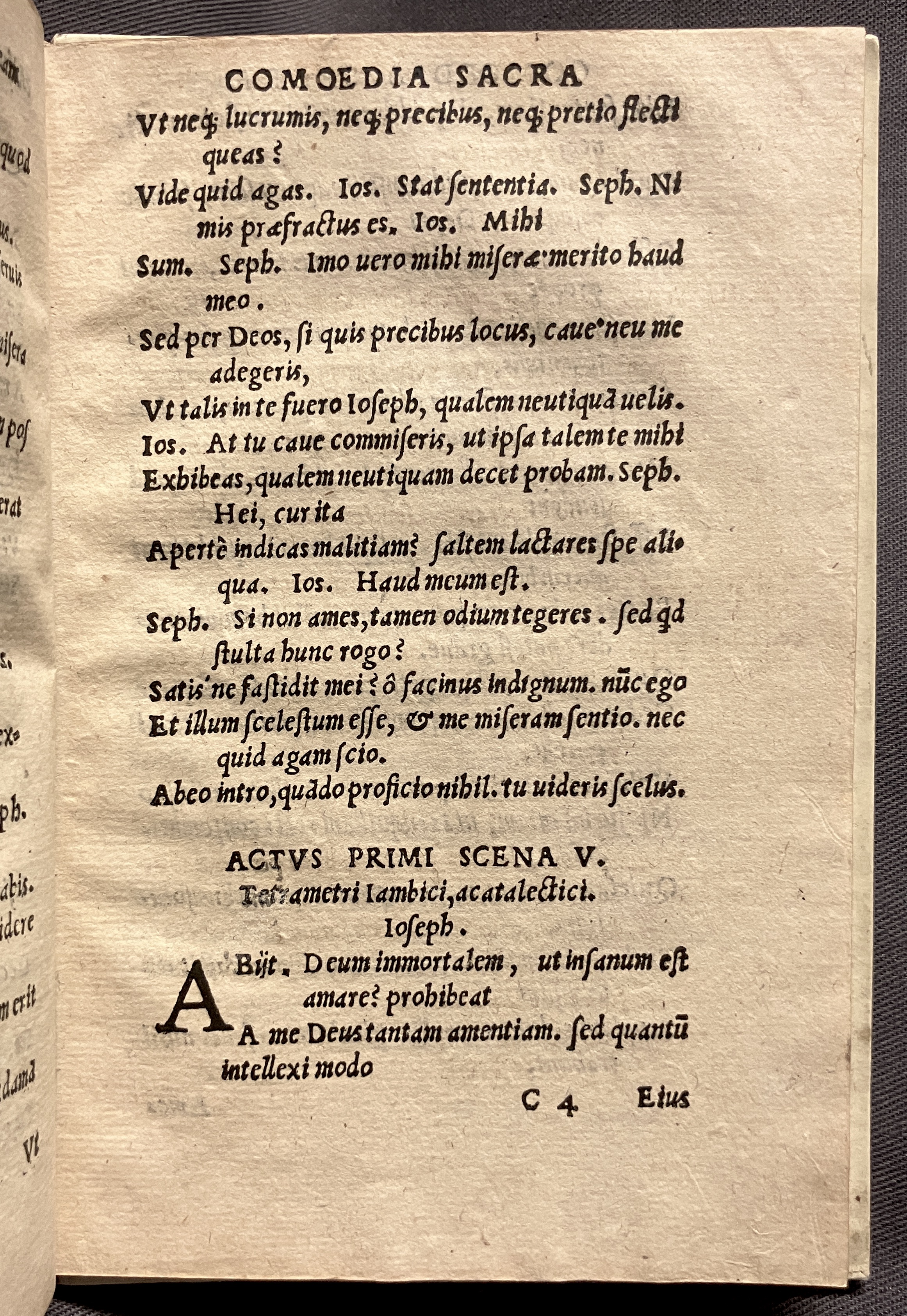 CrocusIoseph1536p39