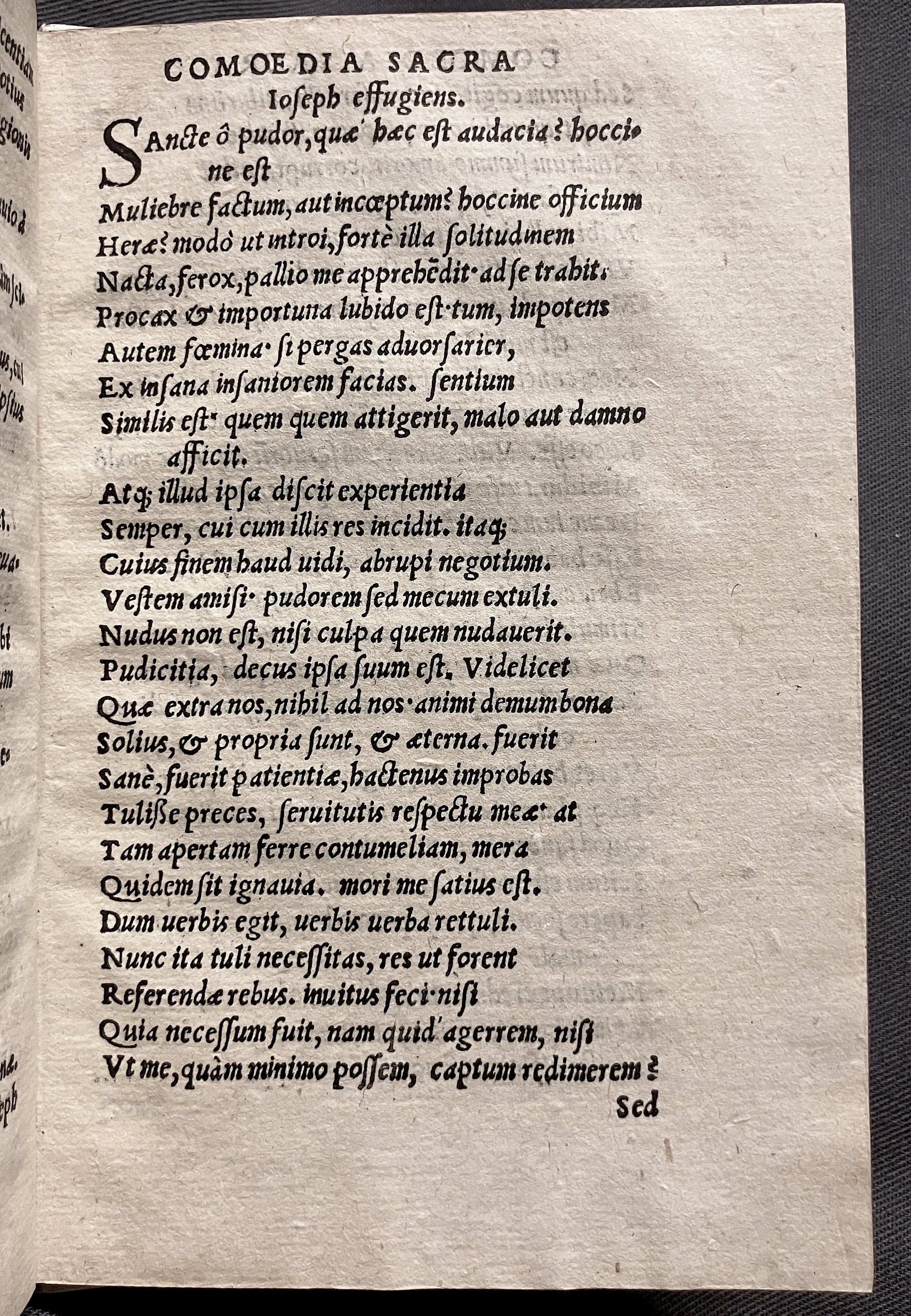 CrocusIoseph1536p43