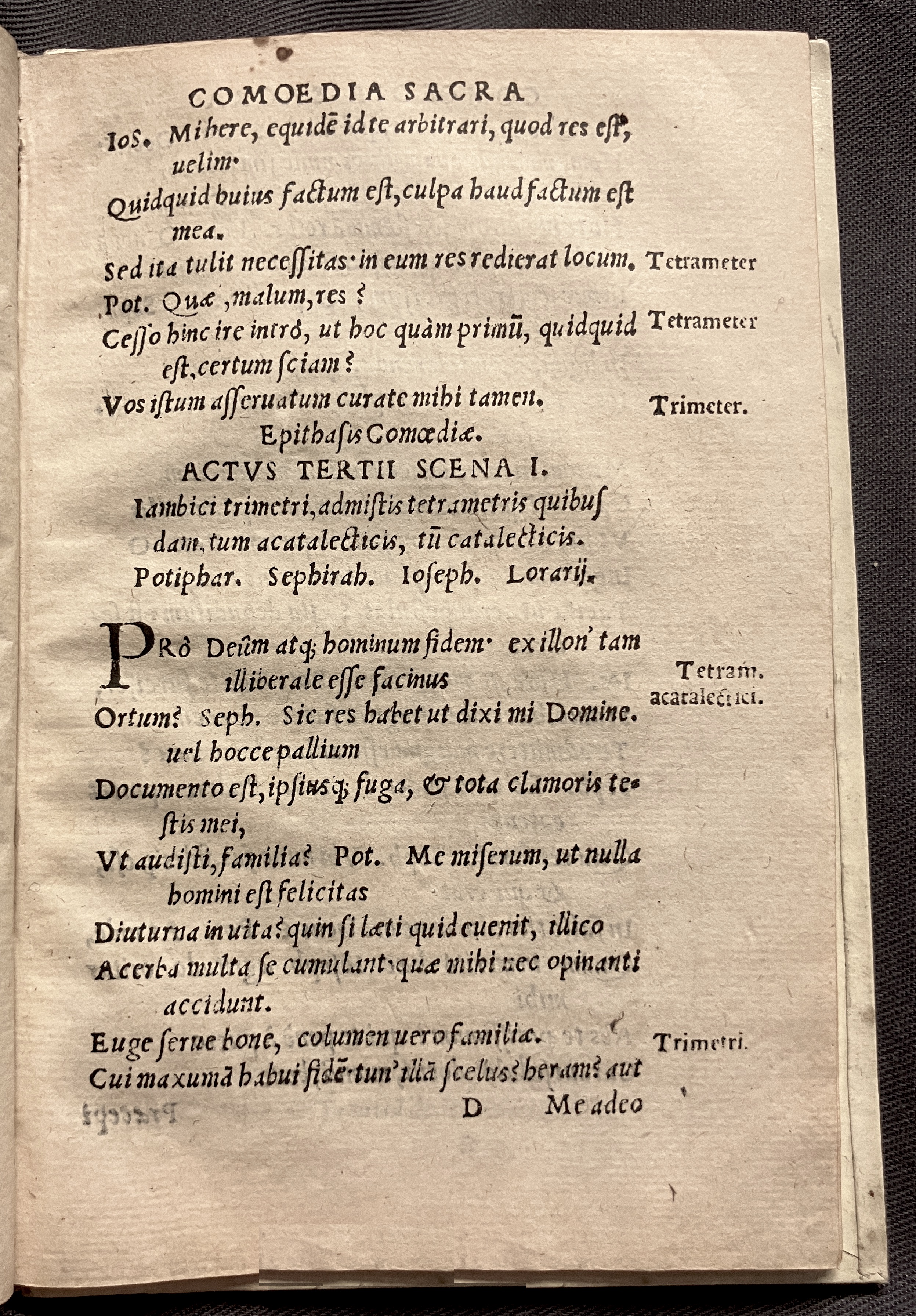CrocusIoseph1536p49