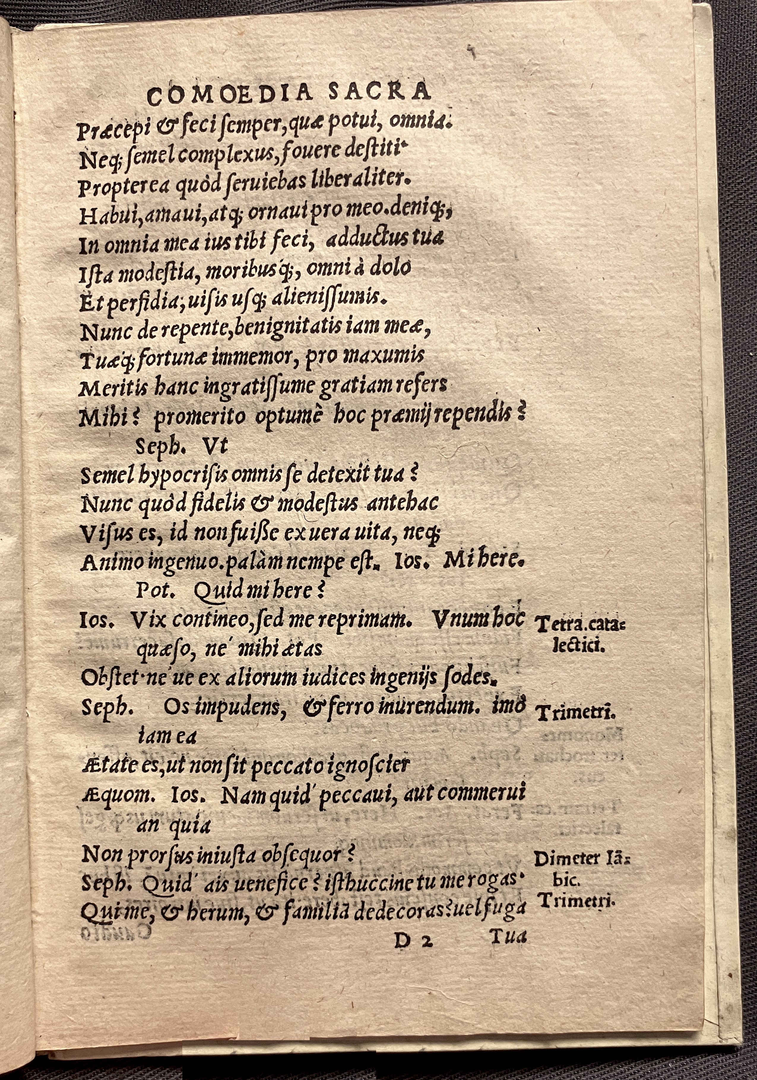 CrocusIoseph1536p51