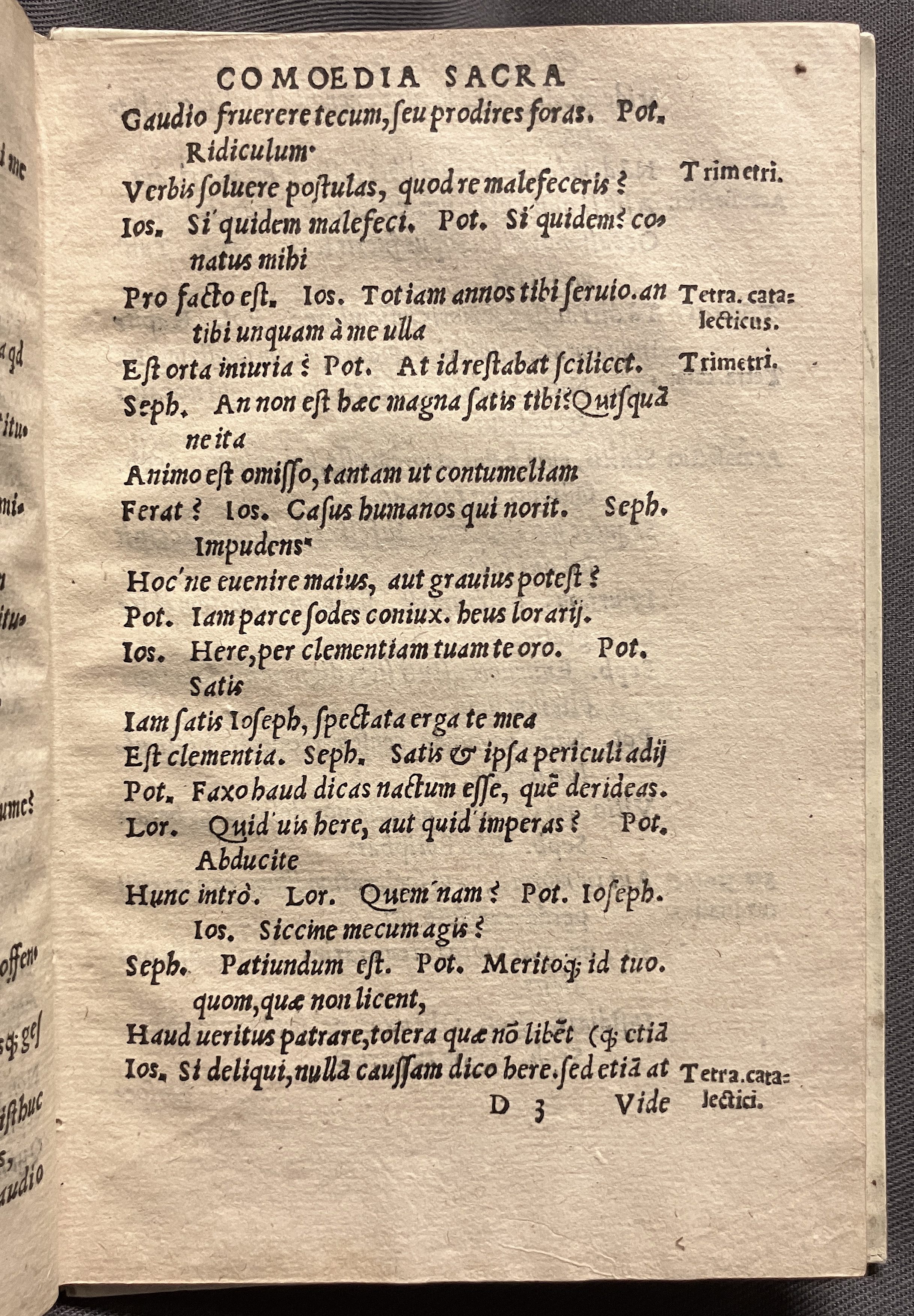 CrocusIoseph1536p53