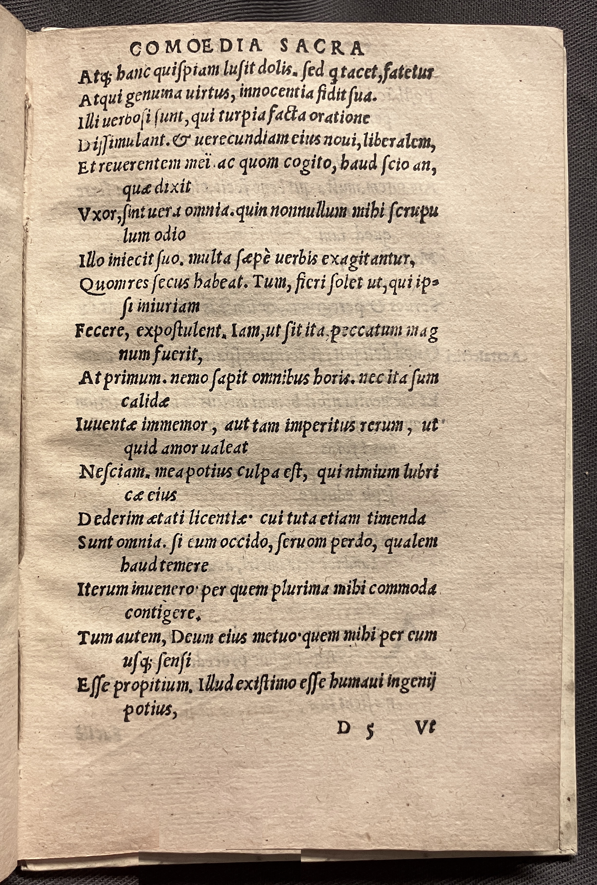 CrocusIoseph1536p57