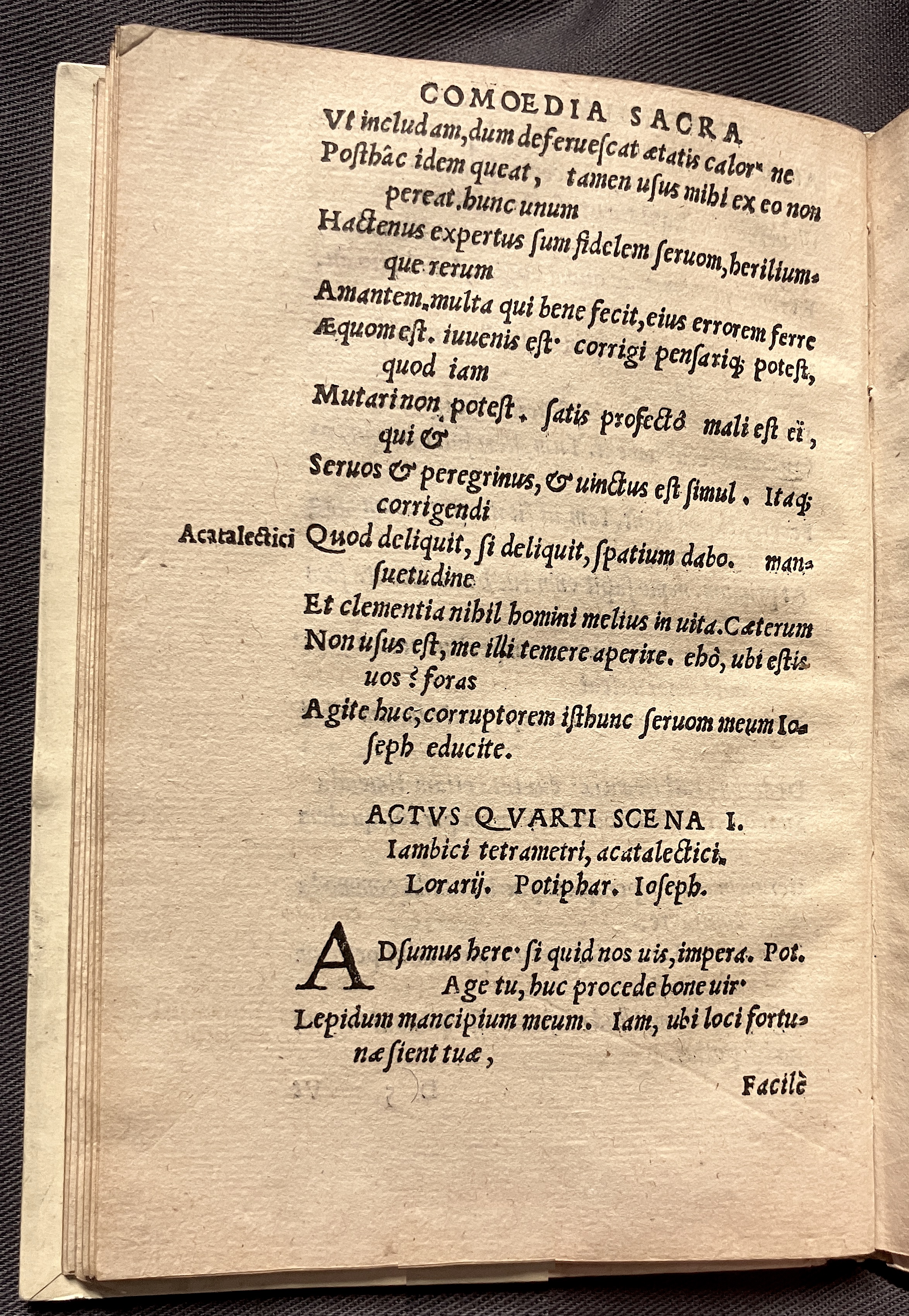 CrocusIoseph1536p58