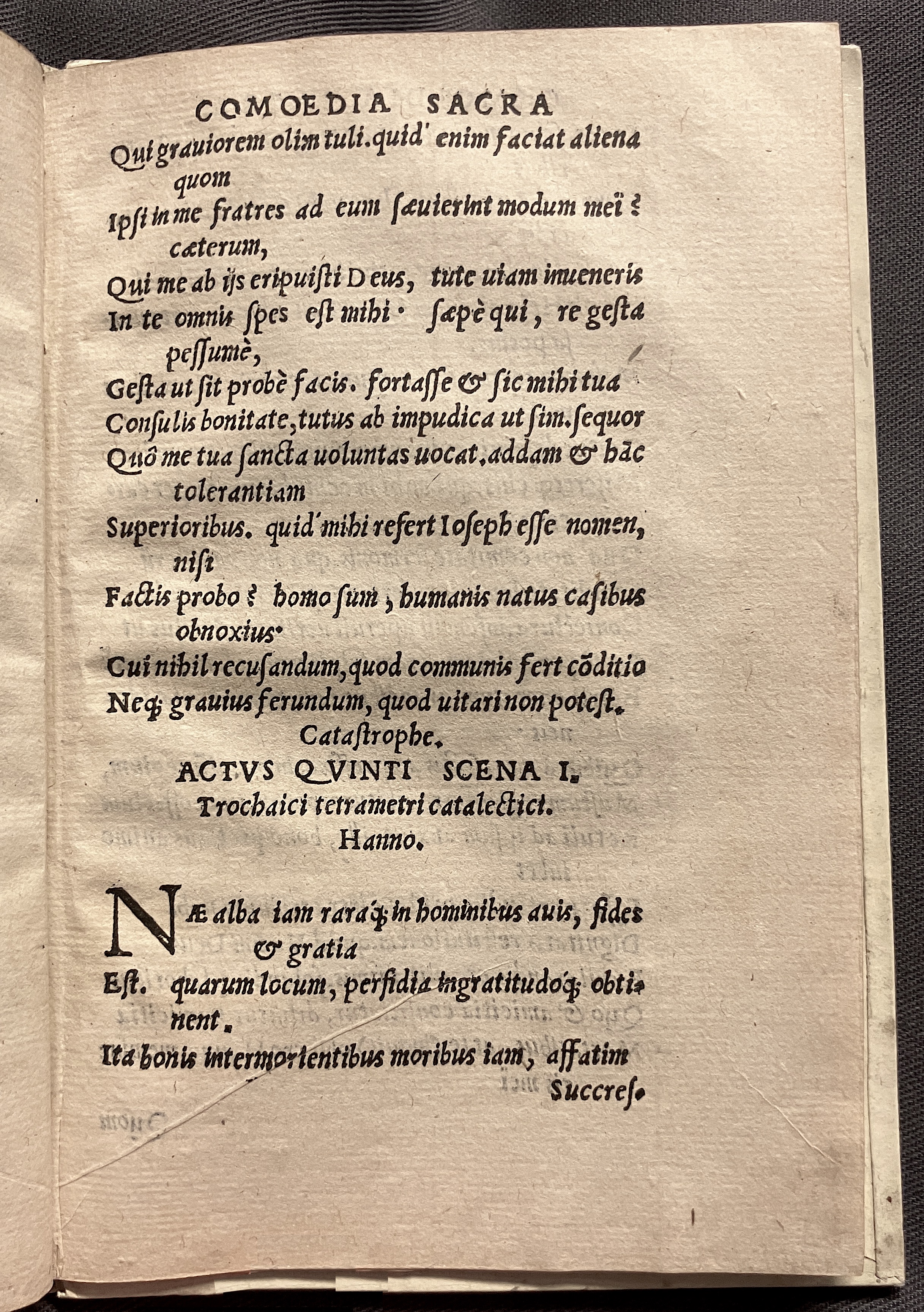 CrocusIoseph1536p63