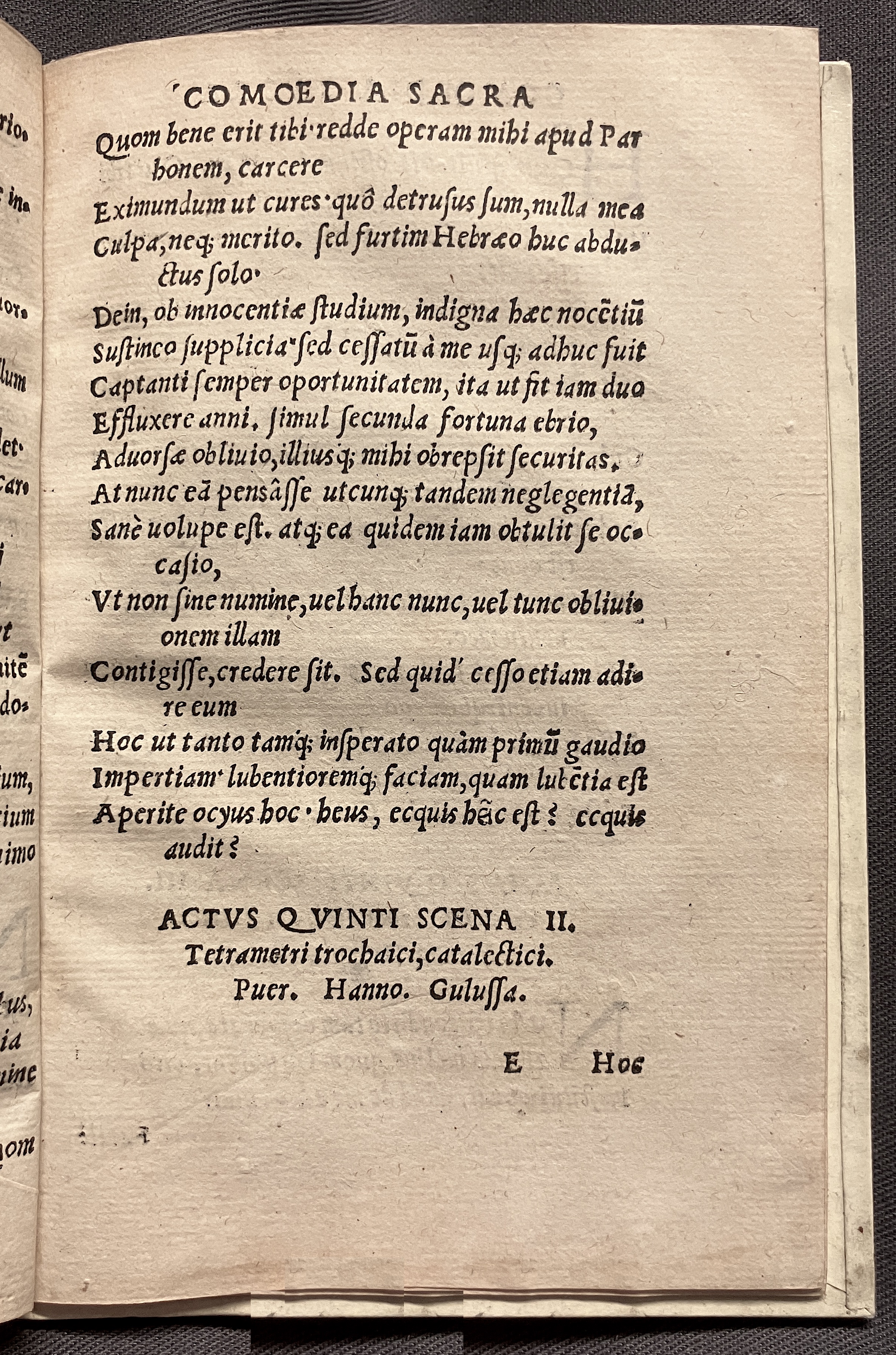 CrocusIoseph1536p65