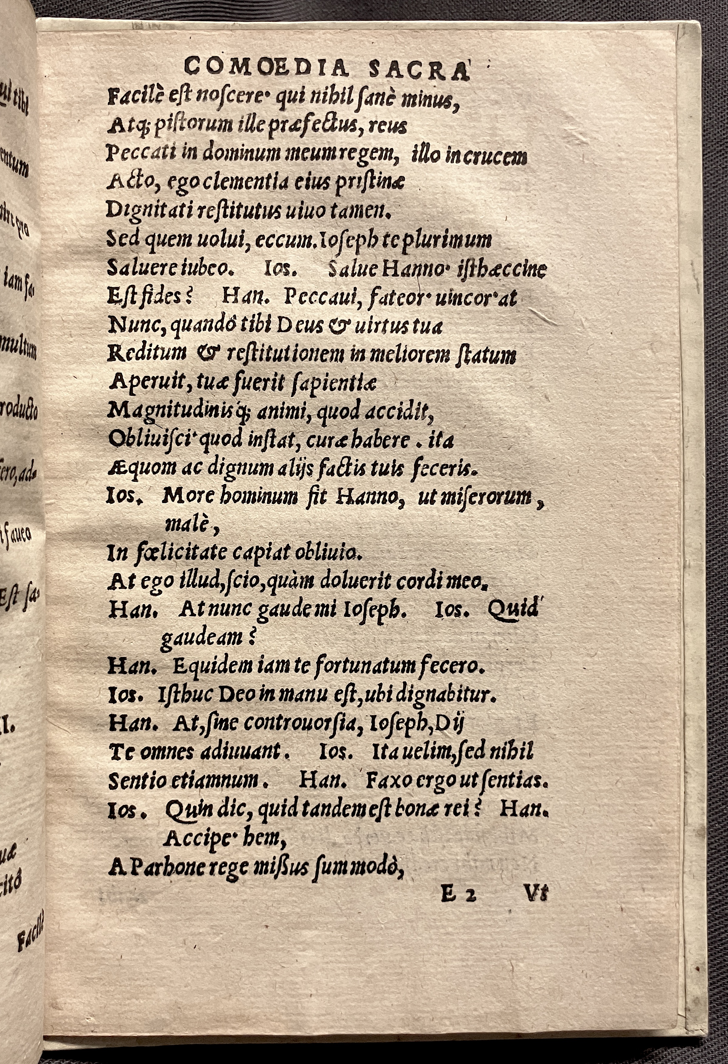 CrocusIoseph1536p67
