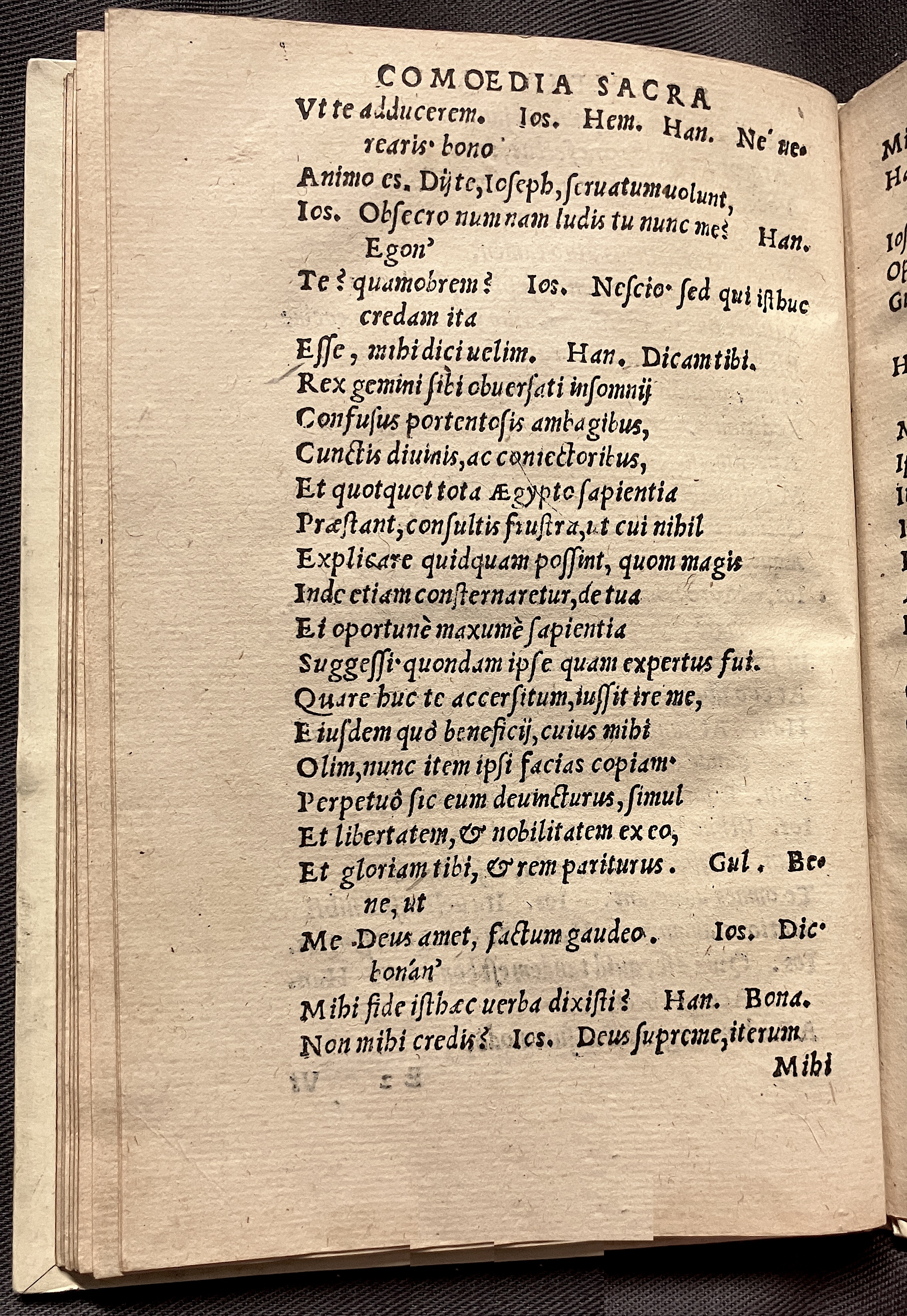 CrocusIoseph1536p68