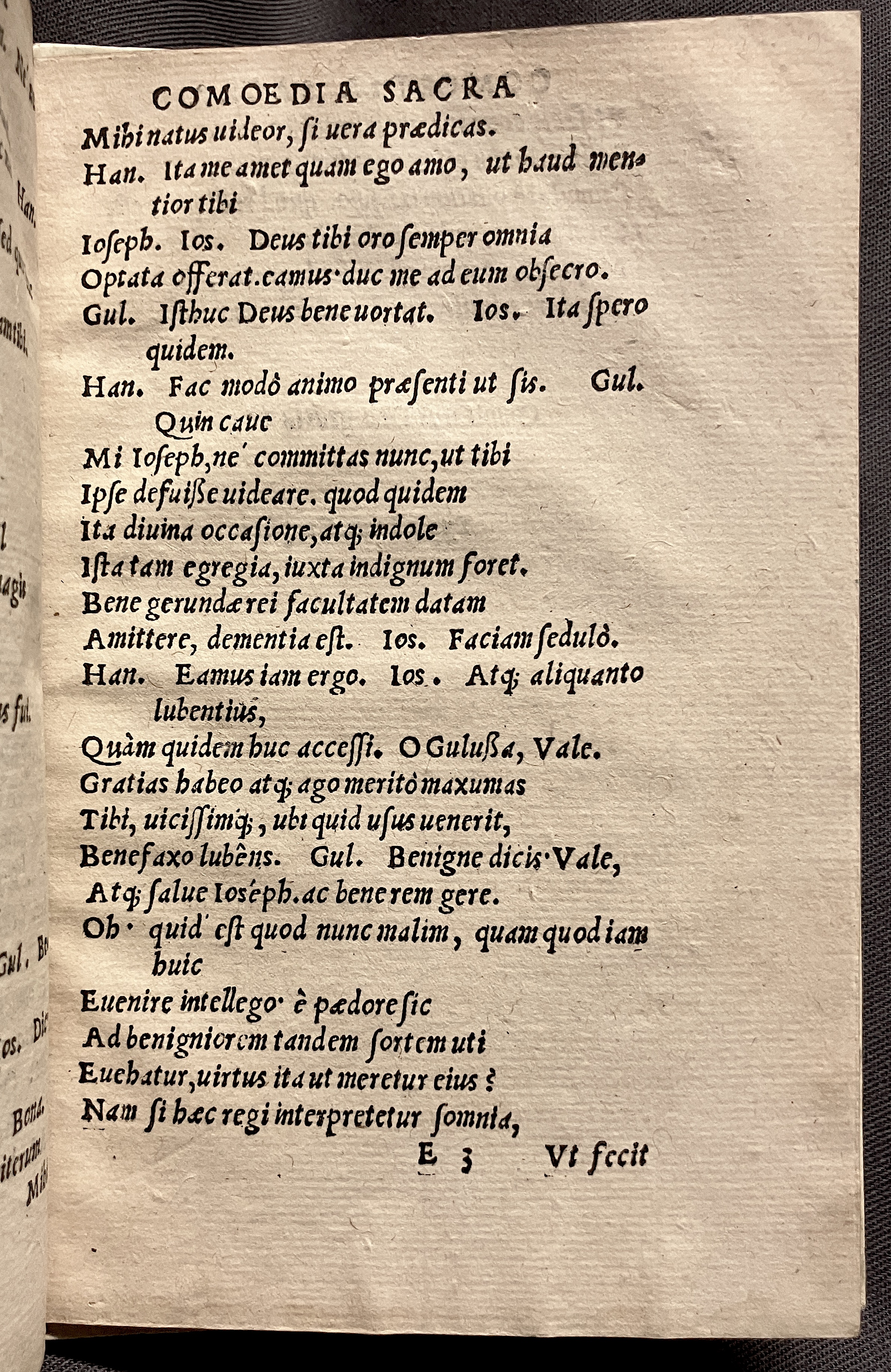 CrocusIoseph1536p69