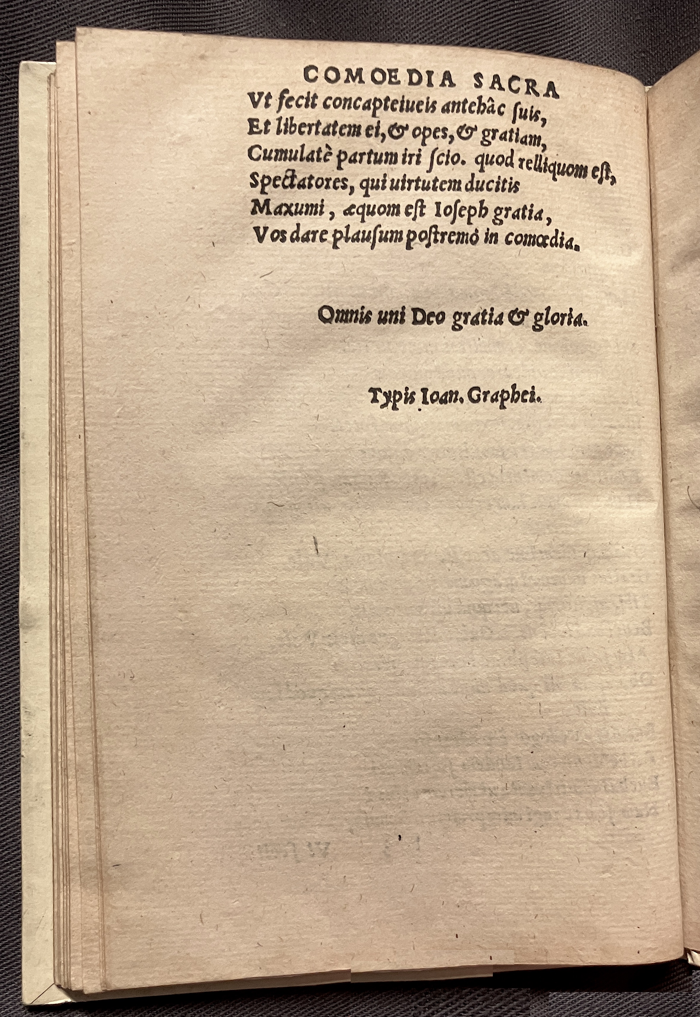 CrocusIoseph1536p70